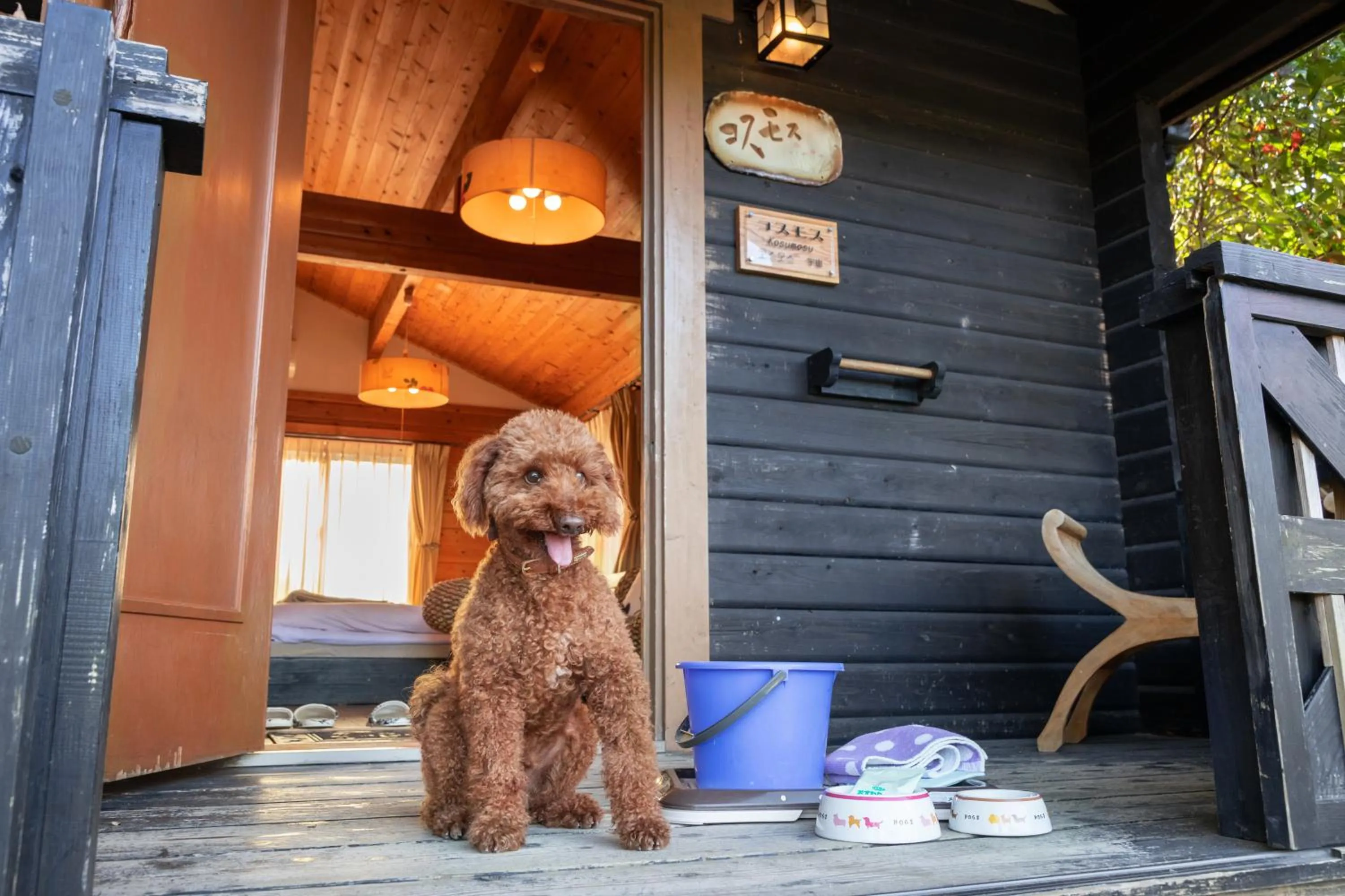 Photo of the whole room in Hanare no Yado Hanagokoro