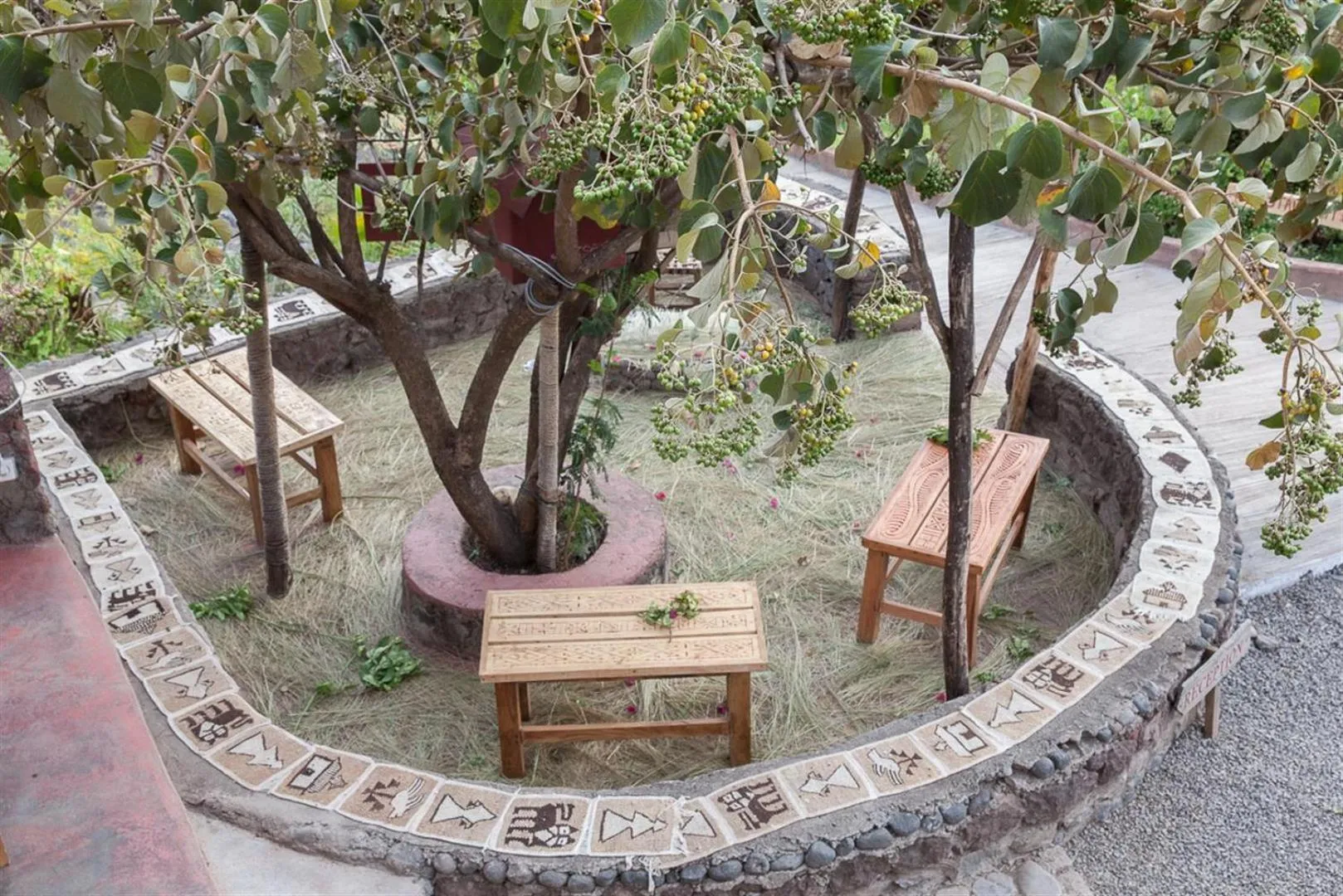 Garden in Sora Lodge Lalibela