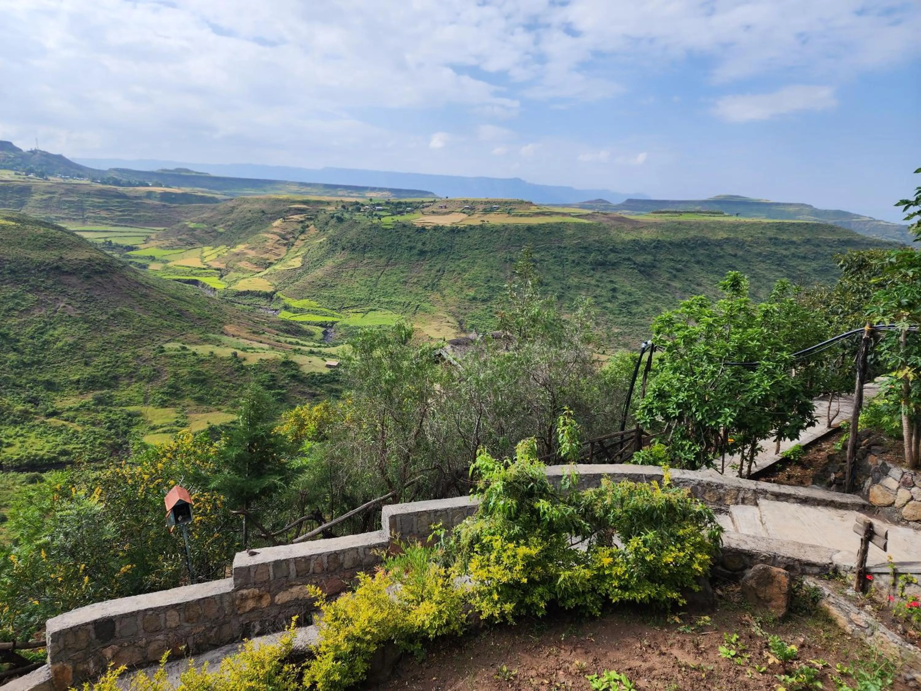 Garden view in Sora Lodge Lalibela