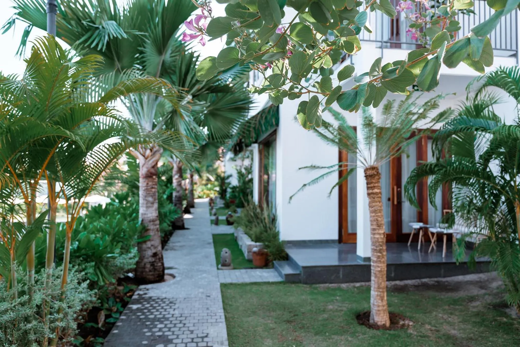 Property building in Pandora Sand Hill Mũi Né Resort