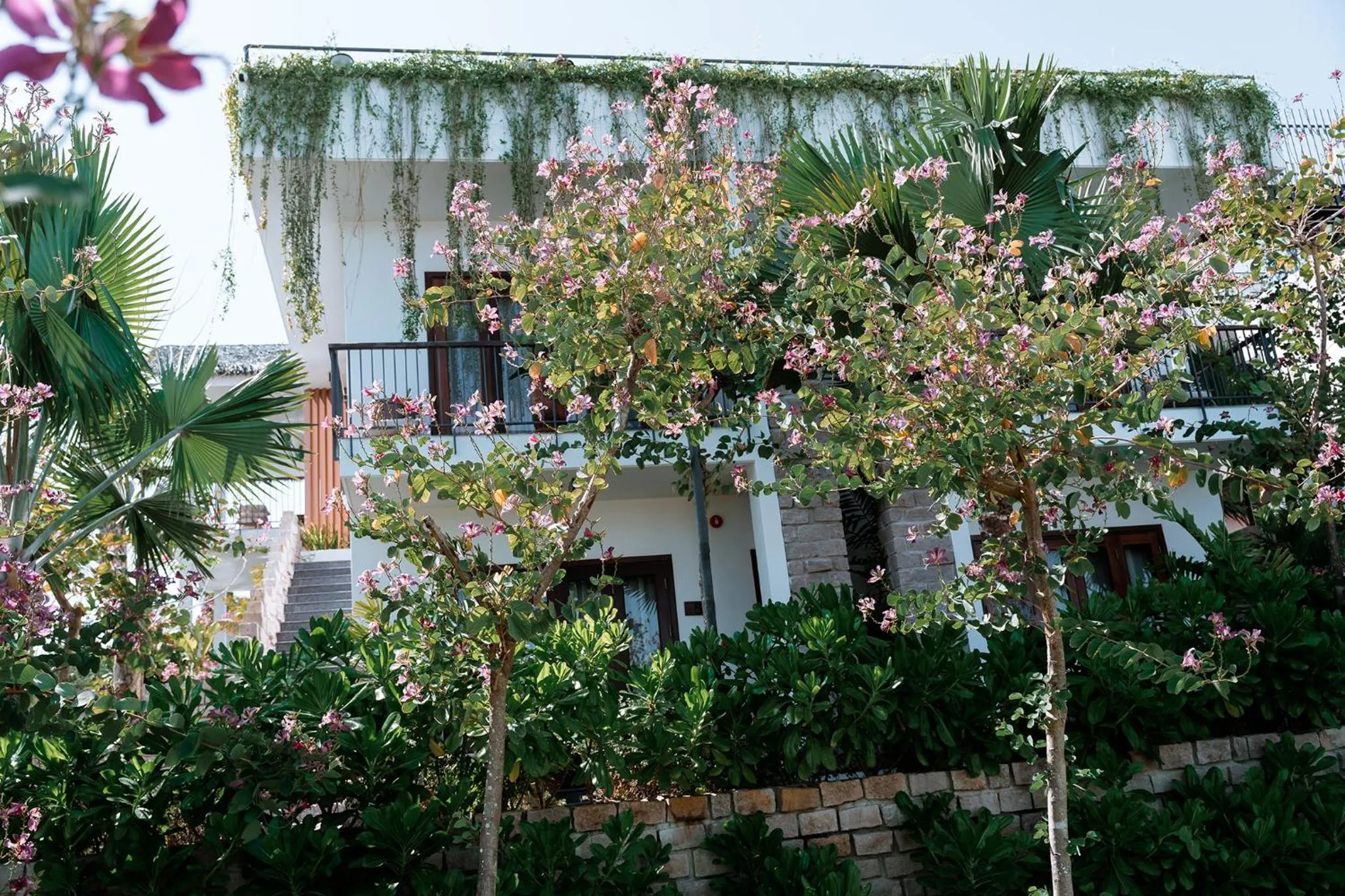 Property building in Pandora Sand Hill Mũi Né Resort