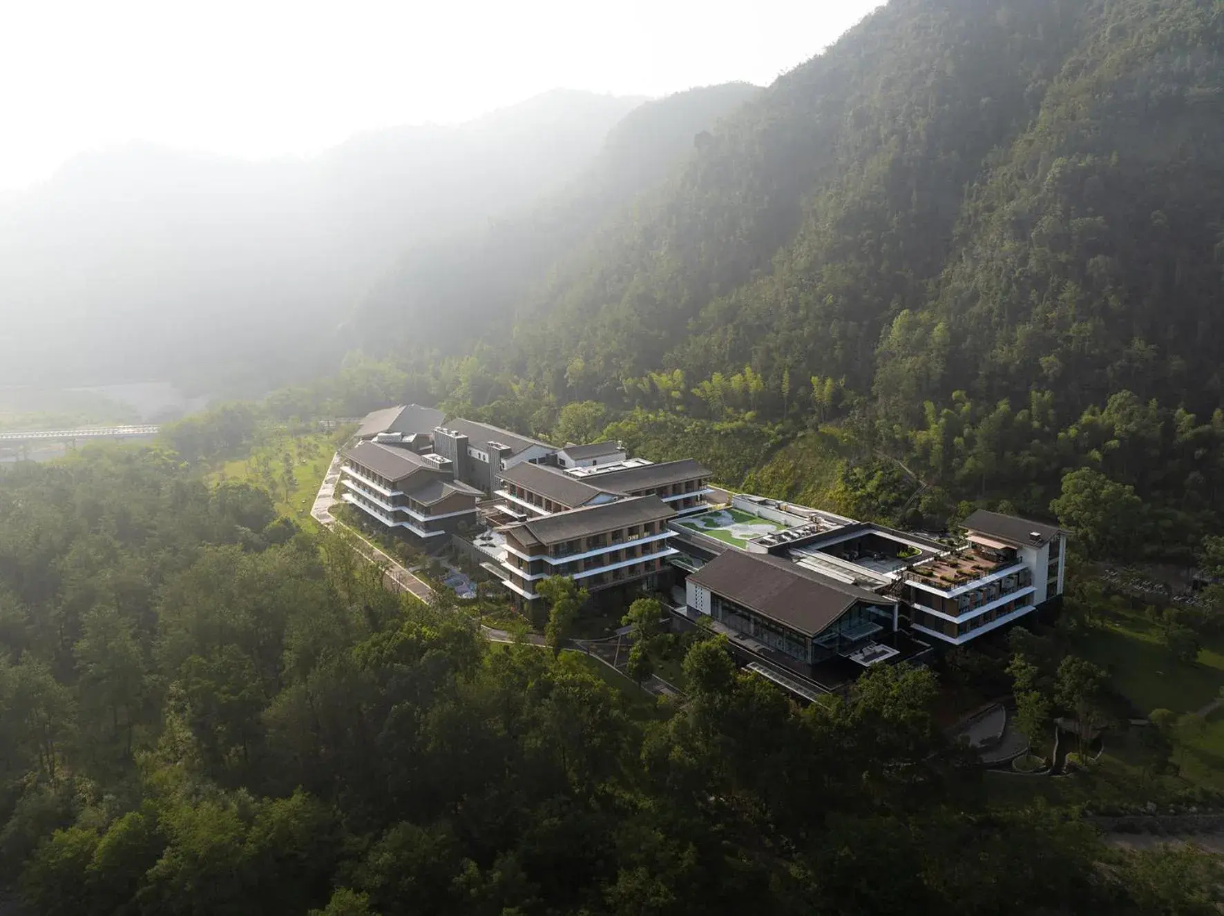 Garrya Xianju Garrya Xianju