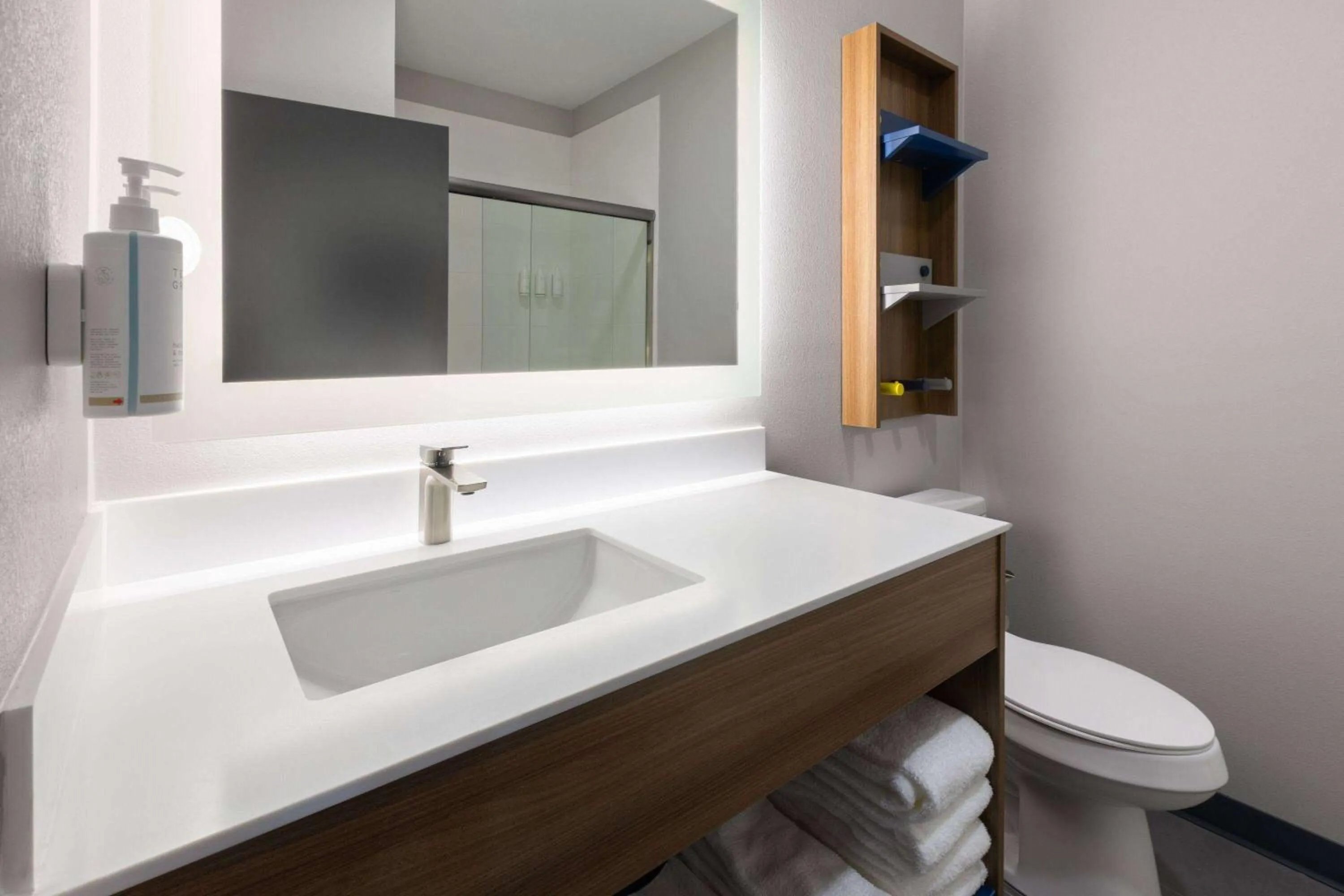 Bathroom in Microtel Inn & Suites by Wyndham Olive Branch