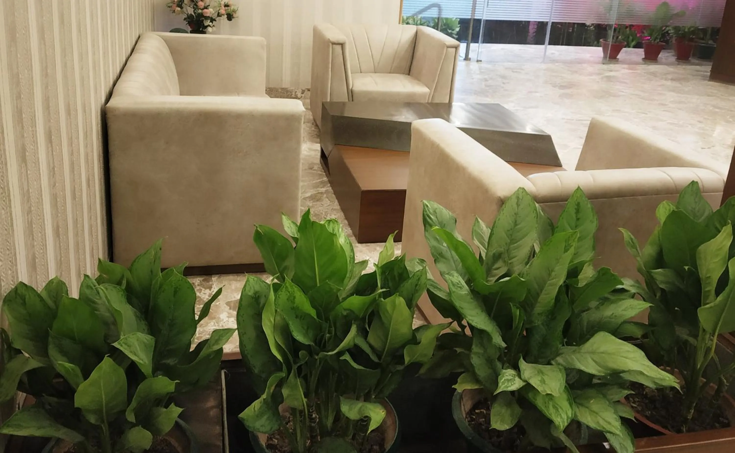 Hotel Shagun Chandigarh Zirakpur