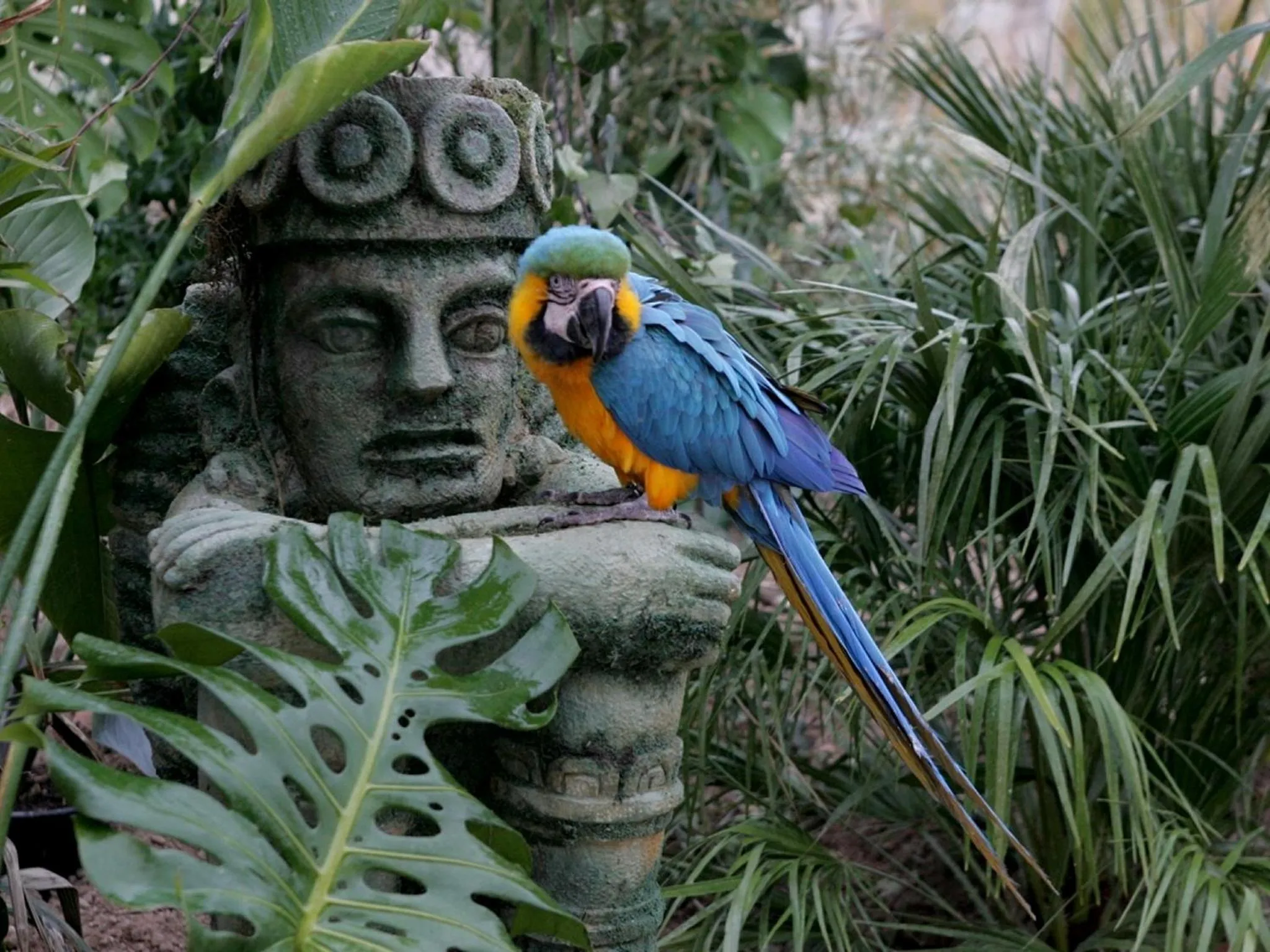 Other in Magic Natura Resort