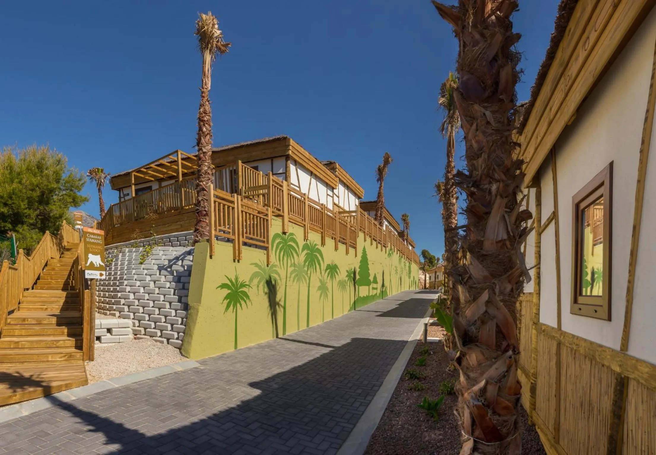 Photo of the whole room in Magic Natura Resort