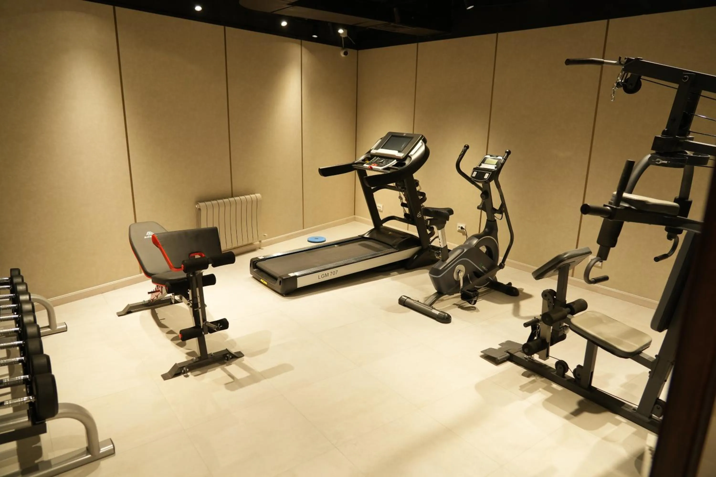 Fitness centre/facilities in Silk Road Premium Hotel