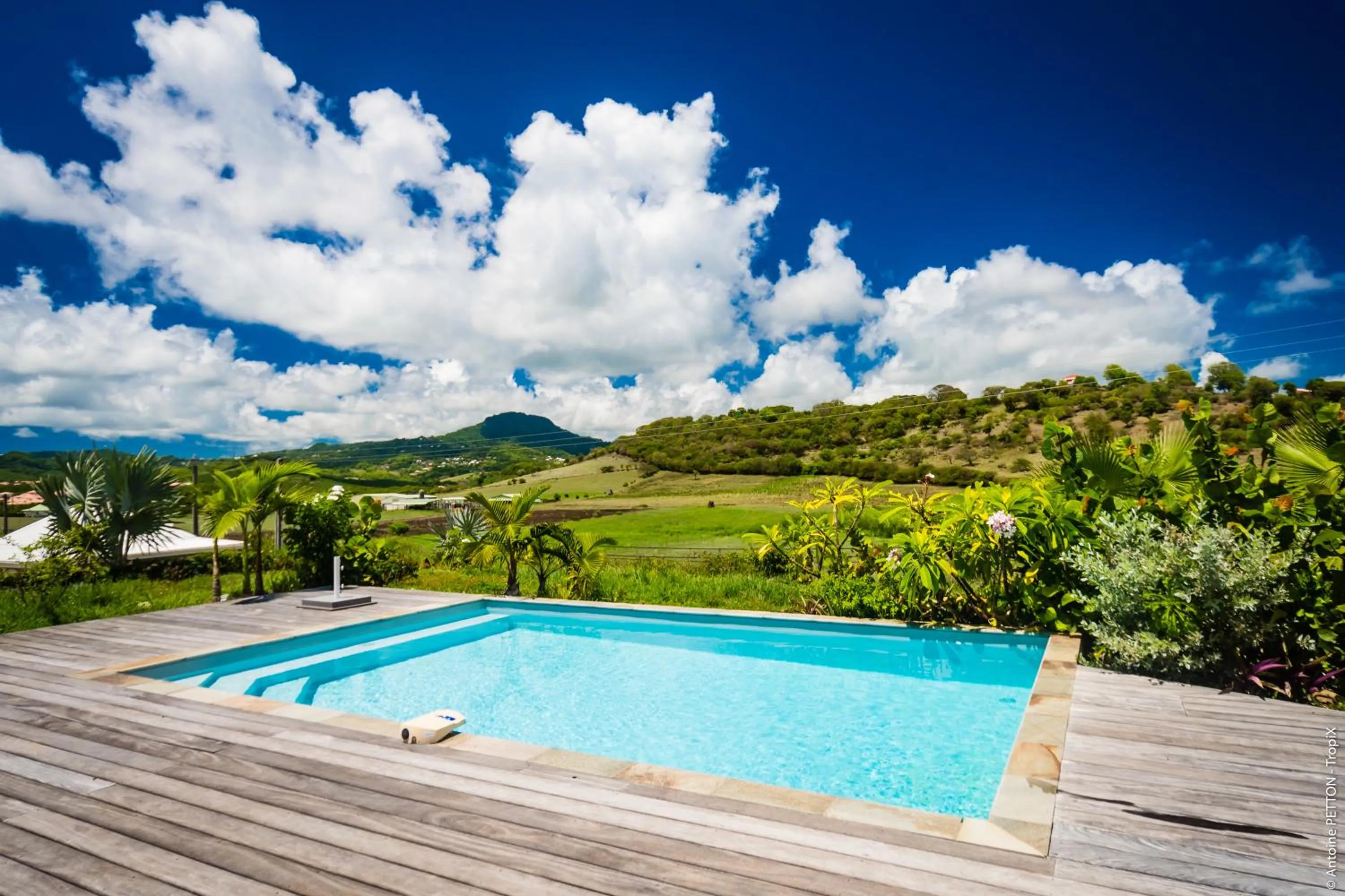 Natural landscape in Villas Palm