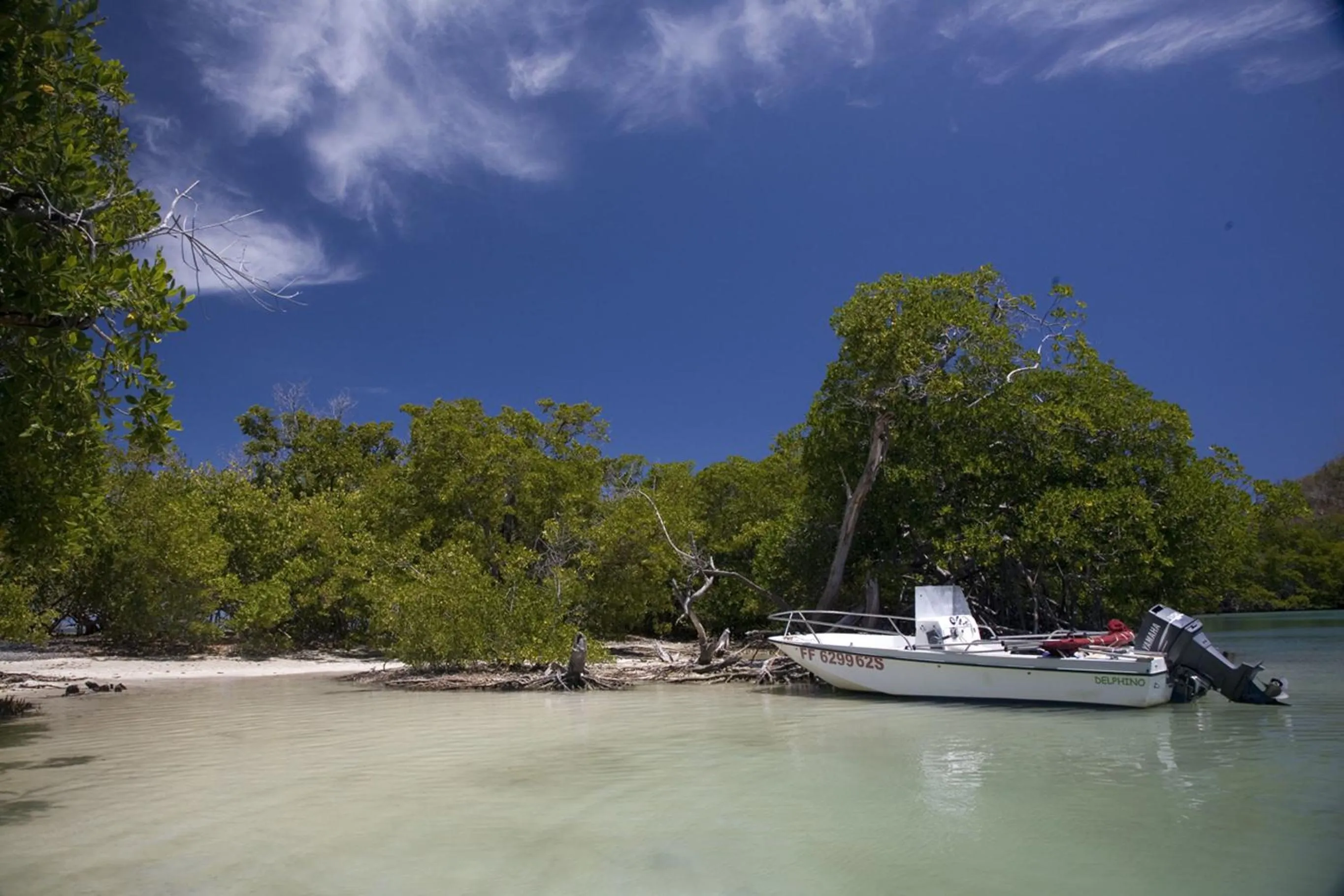 Natural landscape in Villas Palm