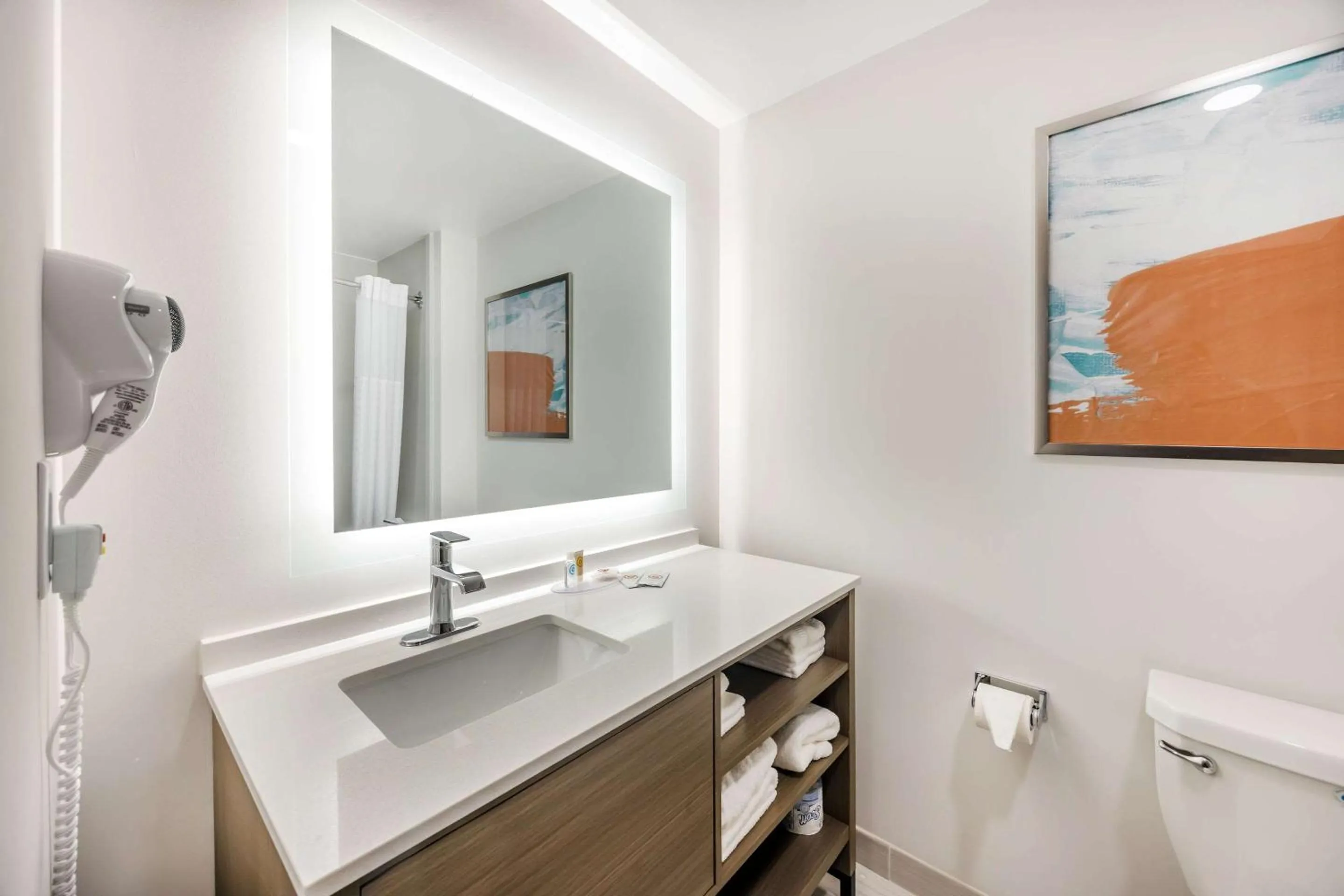 Bathroom in Comfort Inn & Suites Nashville