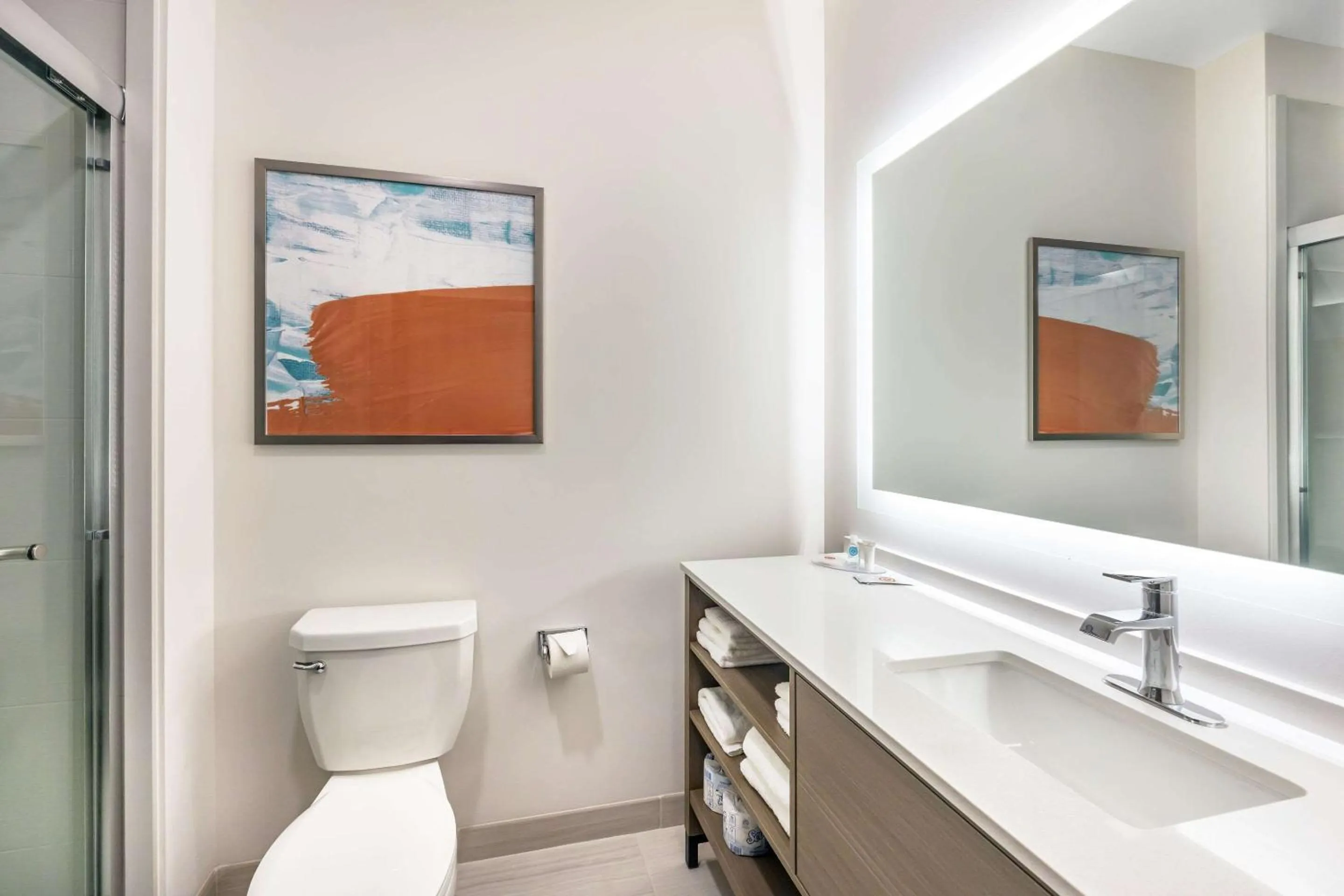 Bathroom in Comfort Inn & Suites Nashville