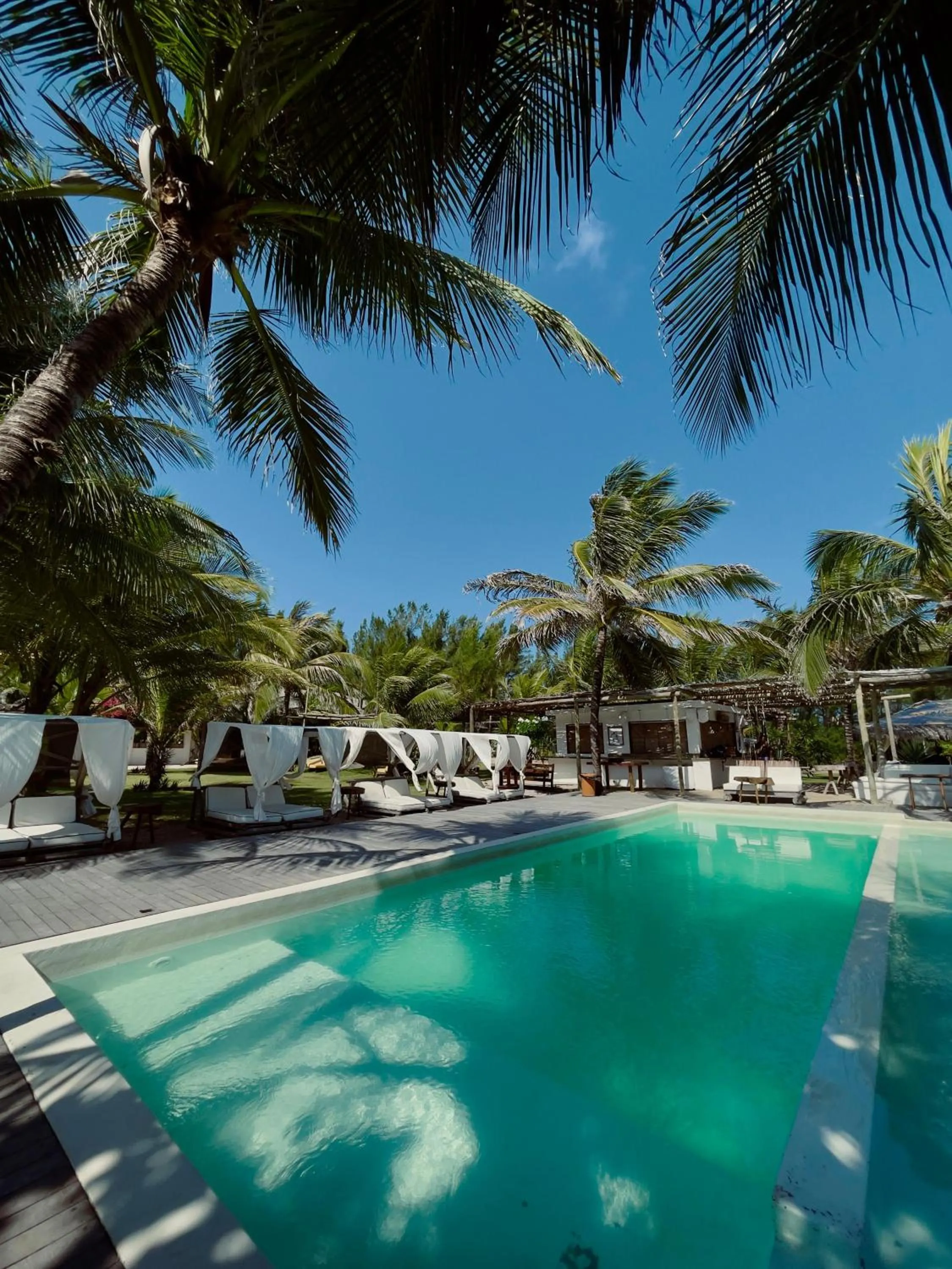 Zebra Boutique Hotel