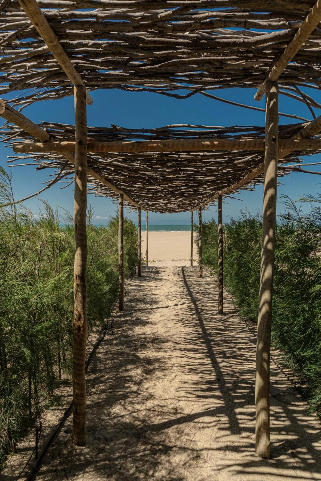 Zebra Boutique Hotel