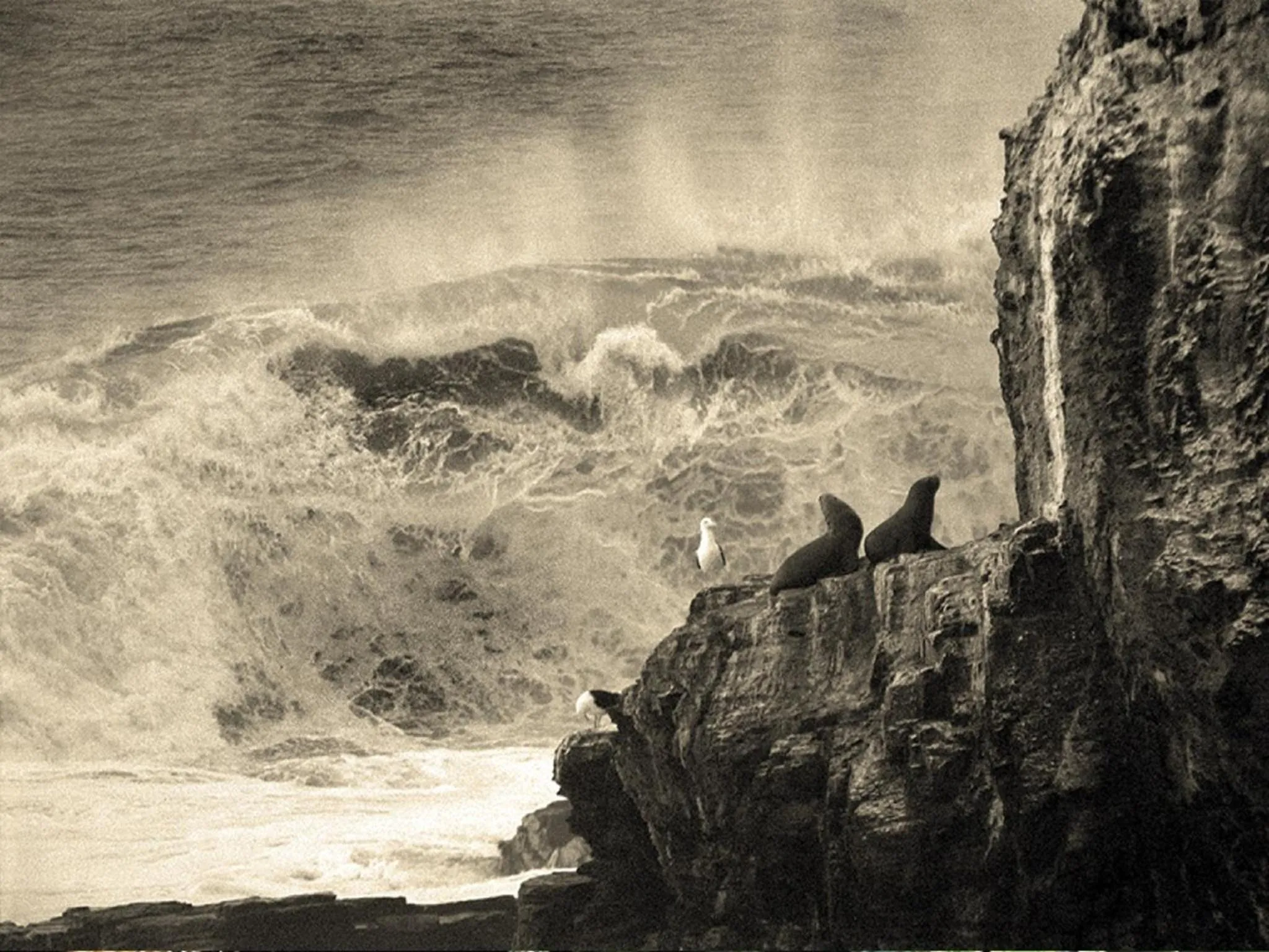 Activities in Cuarzo Lodge