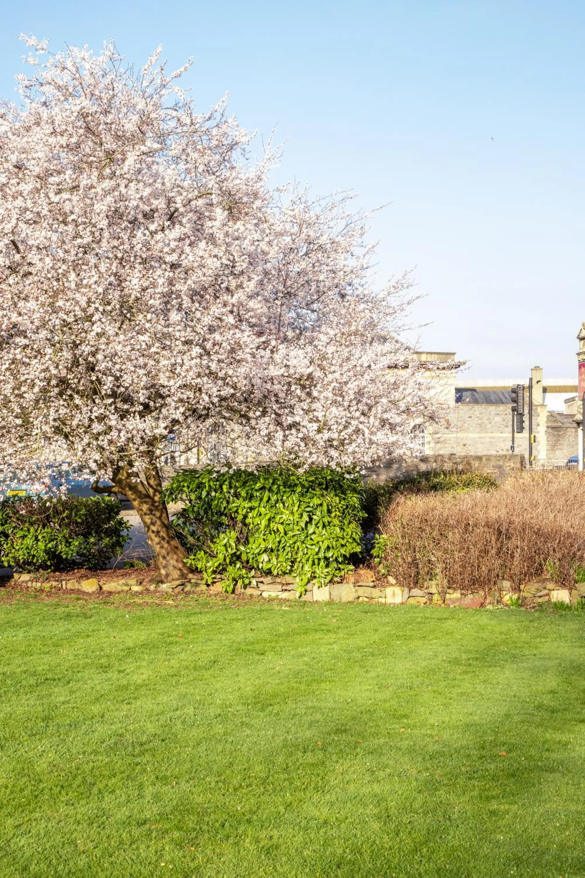 Garden in Arnos Manor Hotel