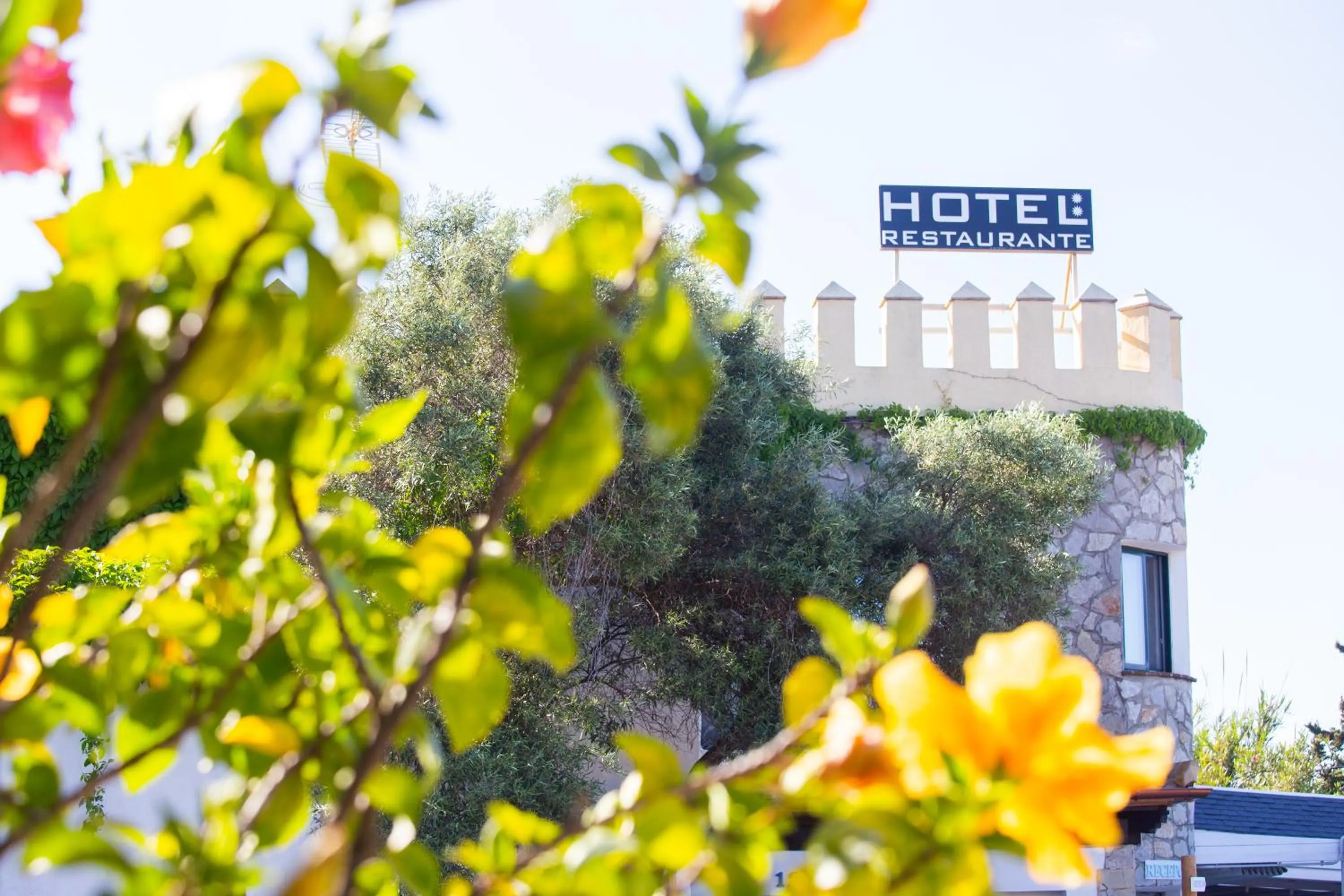 Garden view in Hotel La Torre