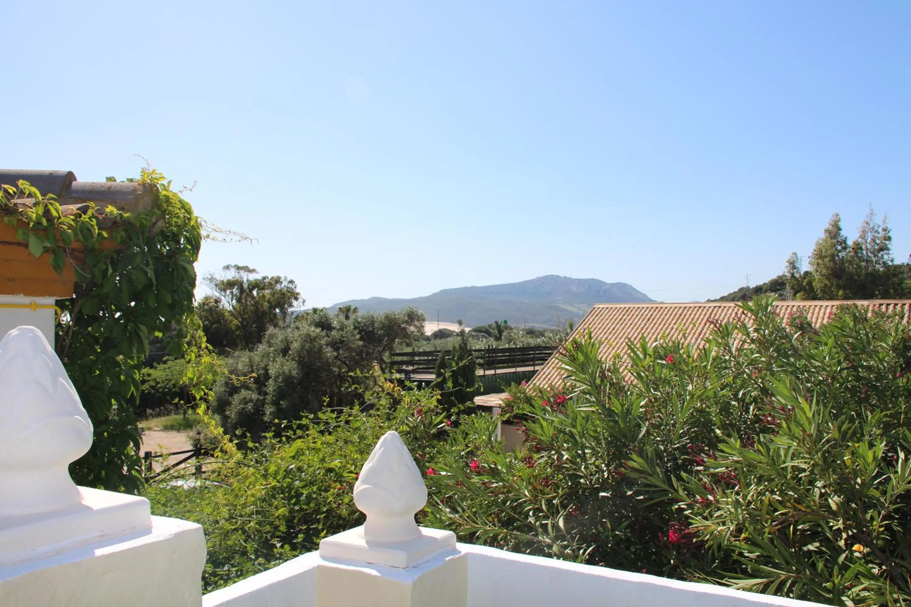Balcony/Terrace in Hotel La Torre