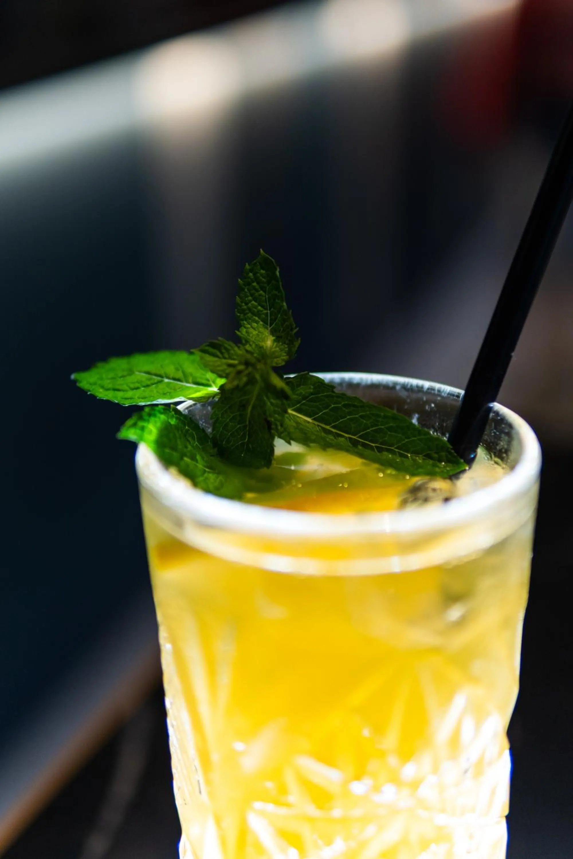 Restaurant/places to eat in Hotel Savorsky