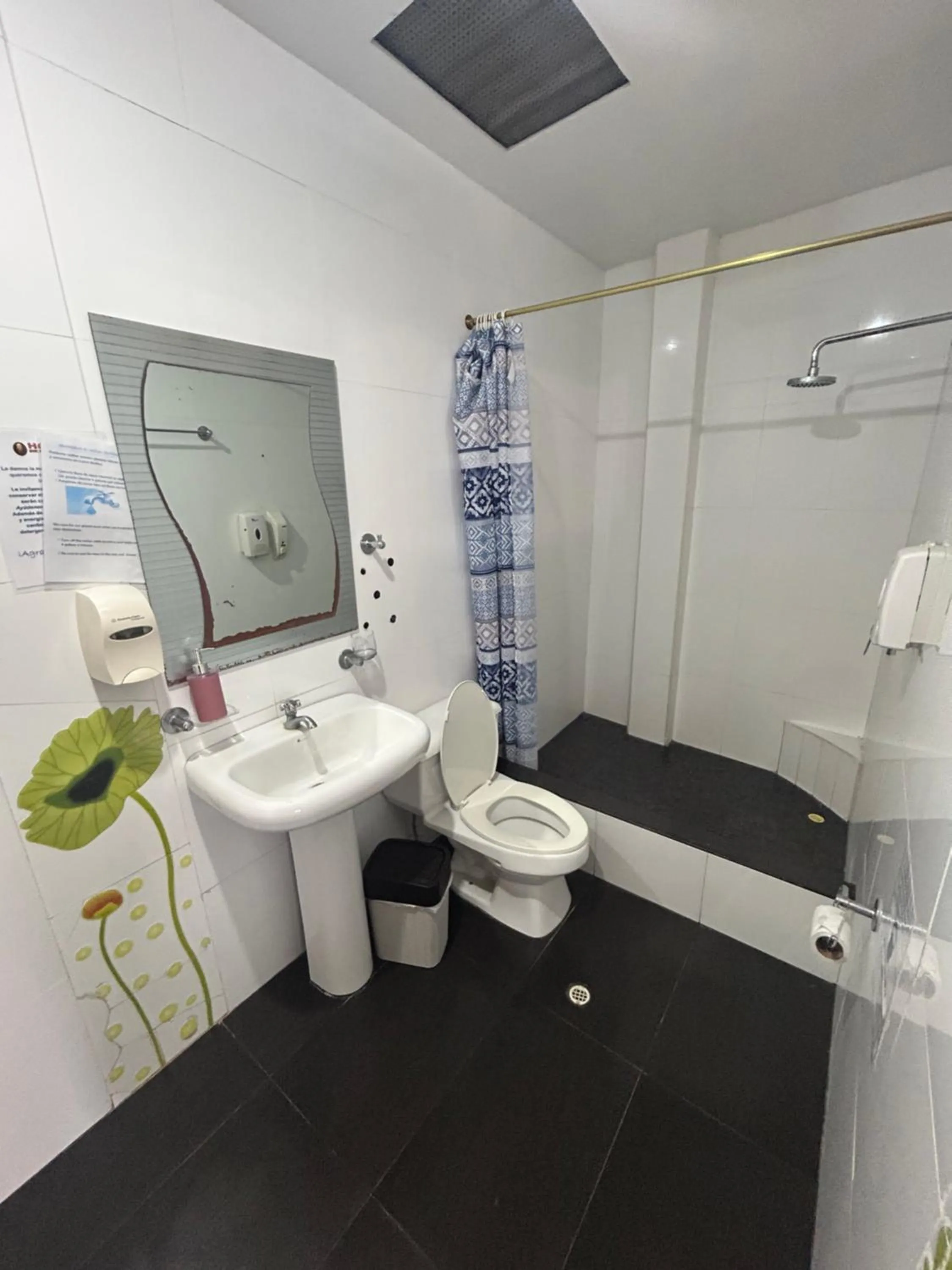 Shower in Hostal Sir Francis Drake