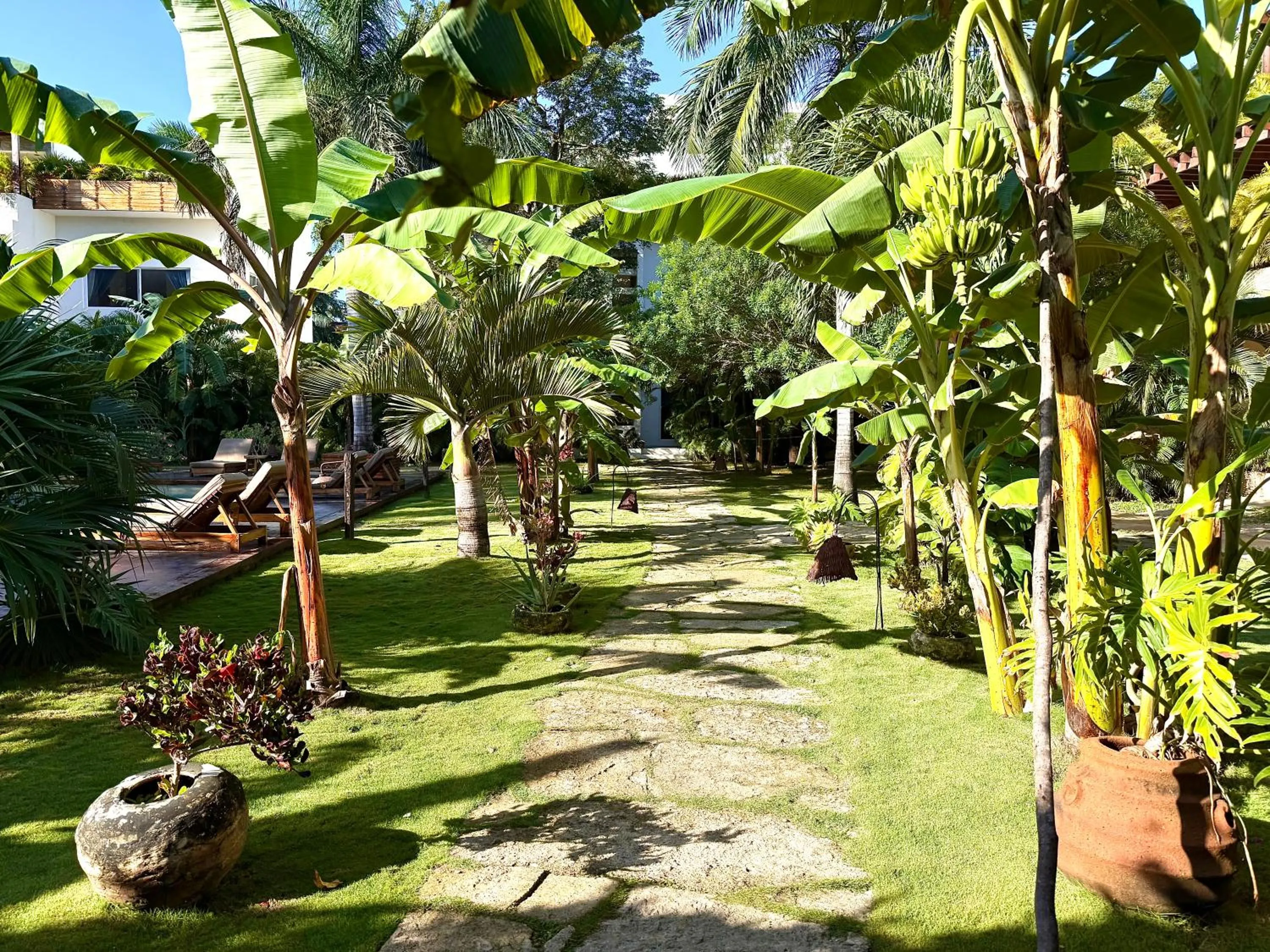 Garden in XscapeTulum