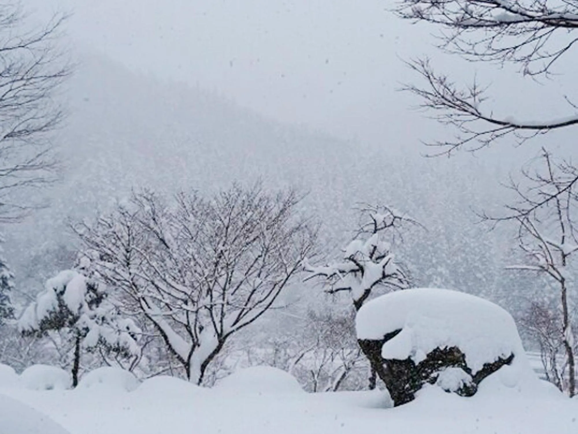 Winter in Kinshuusanso