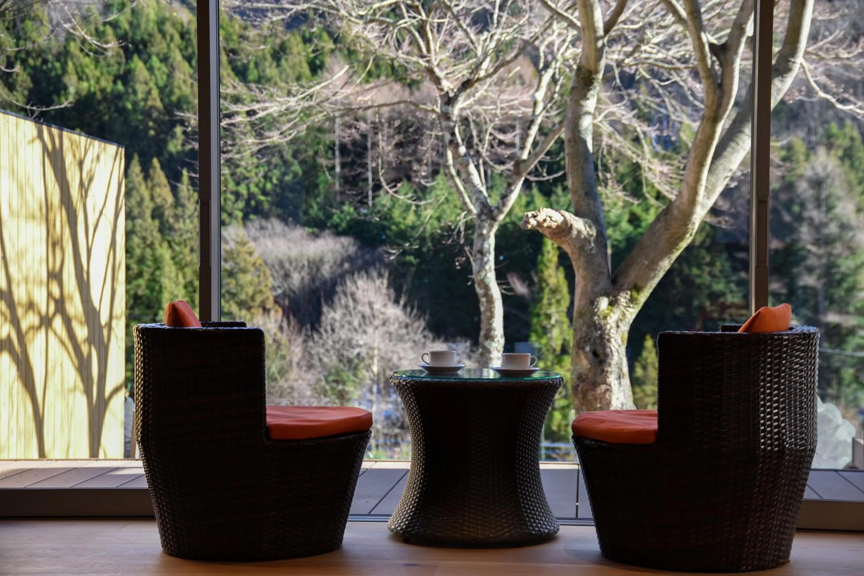 Photo of the whole room in Kinshuusanso