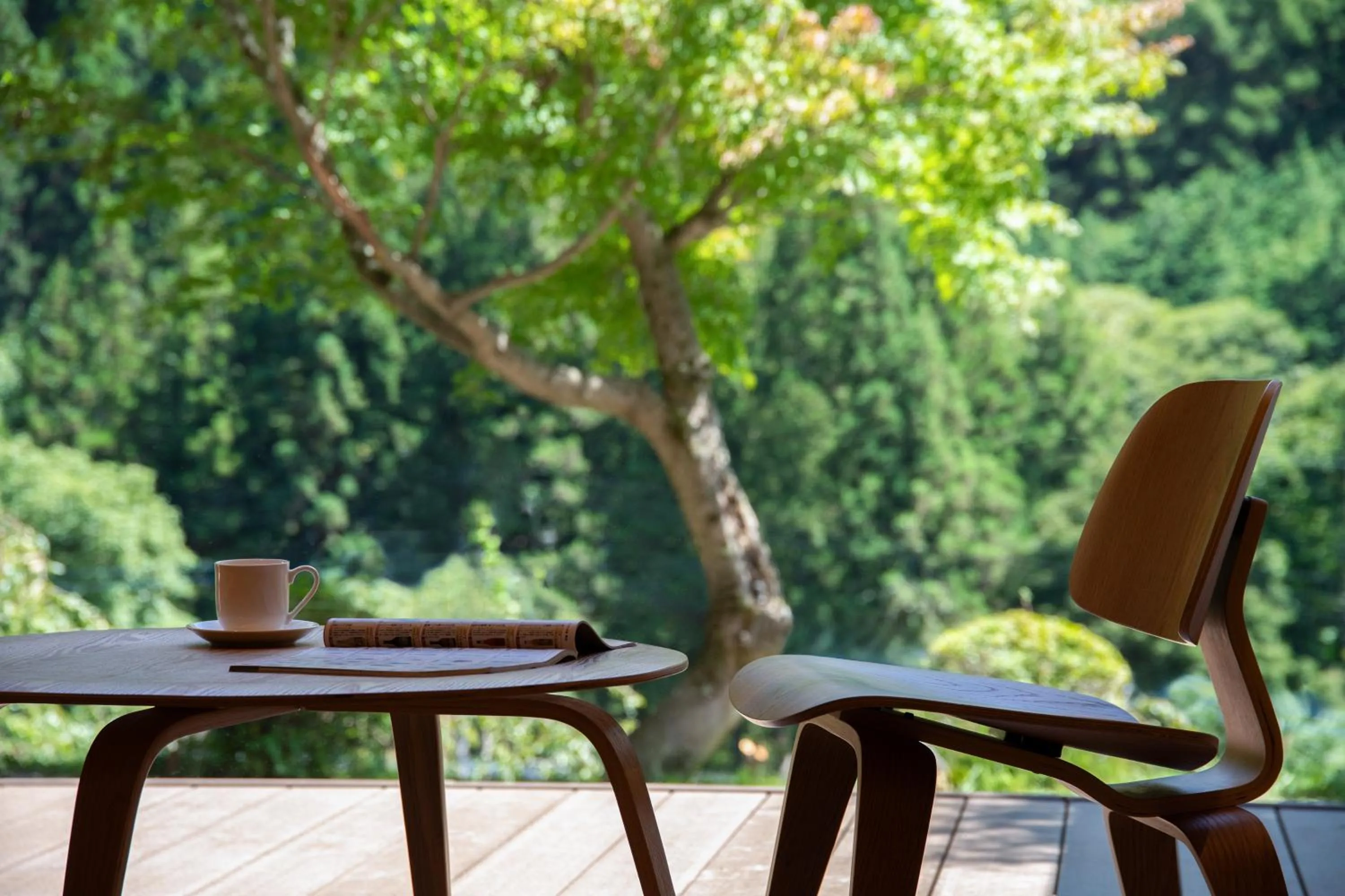 Photo of the whole room in Kinshuusanso