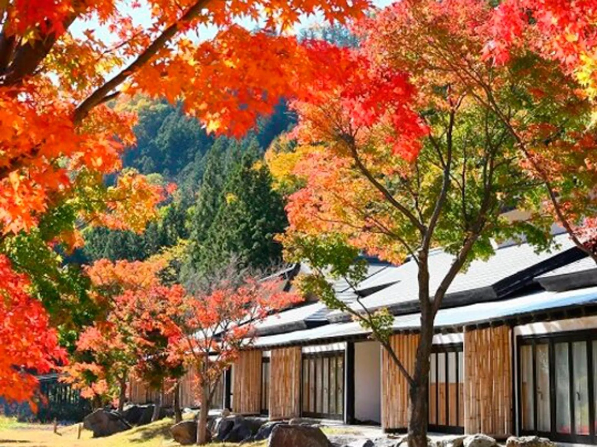 Property building in Kinshuusanso