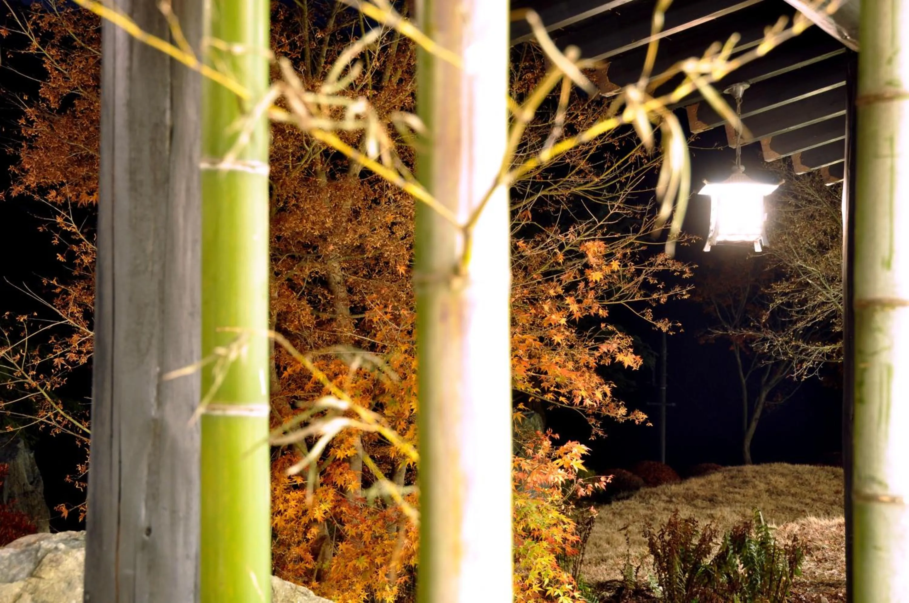 Other in Kinshuusanso