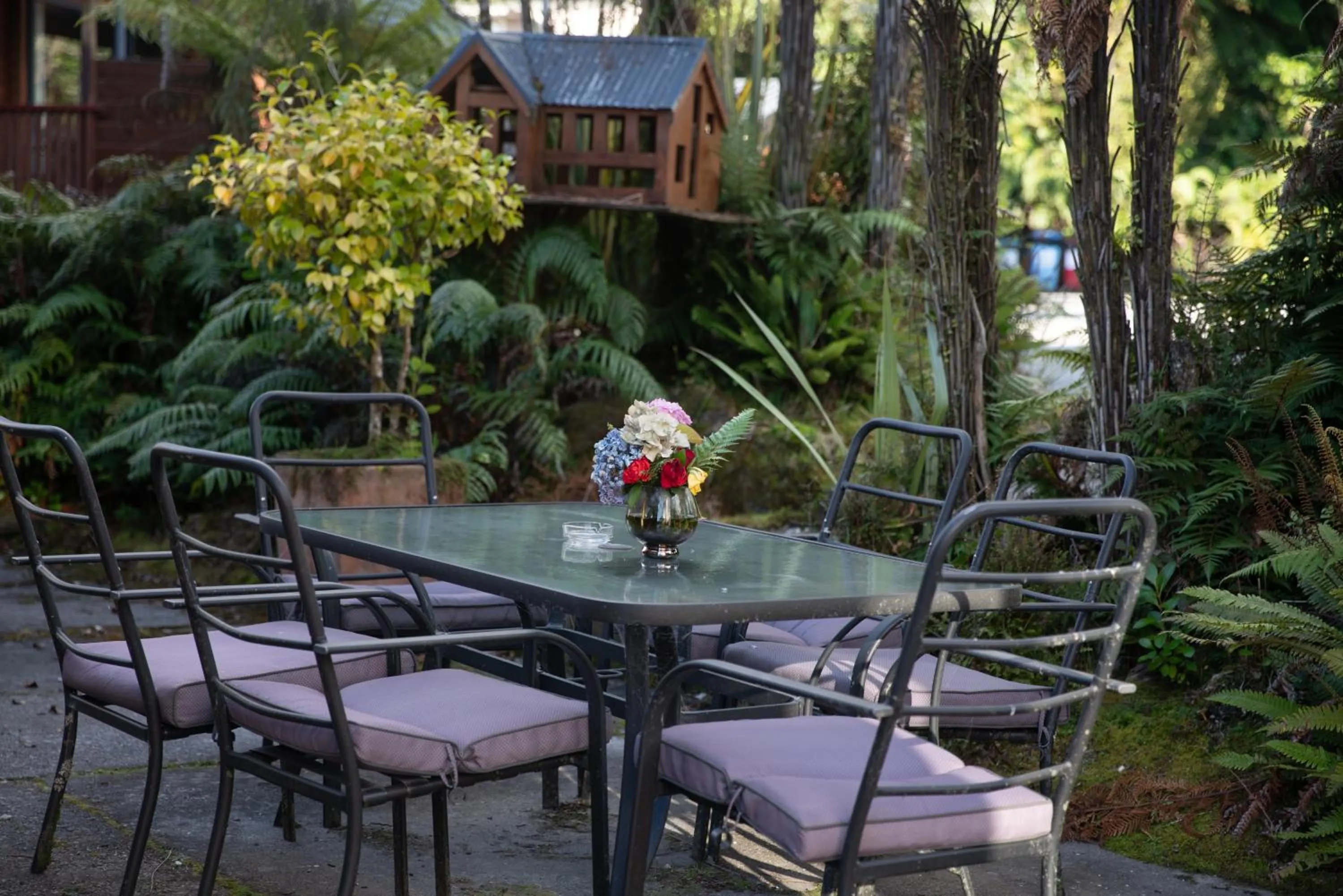 Garden in Fox Glacier Lodge