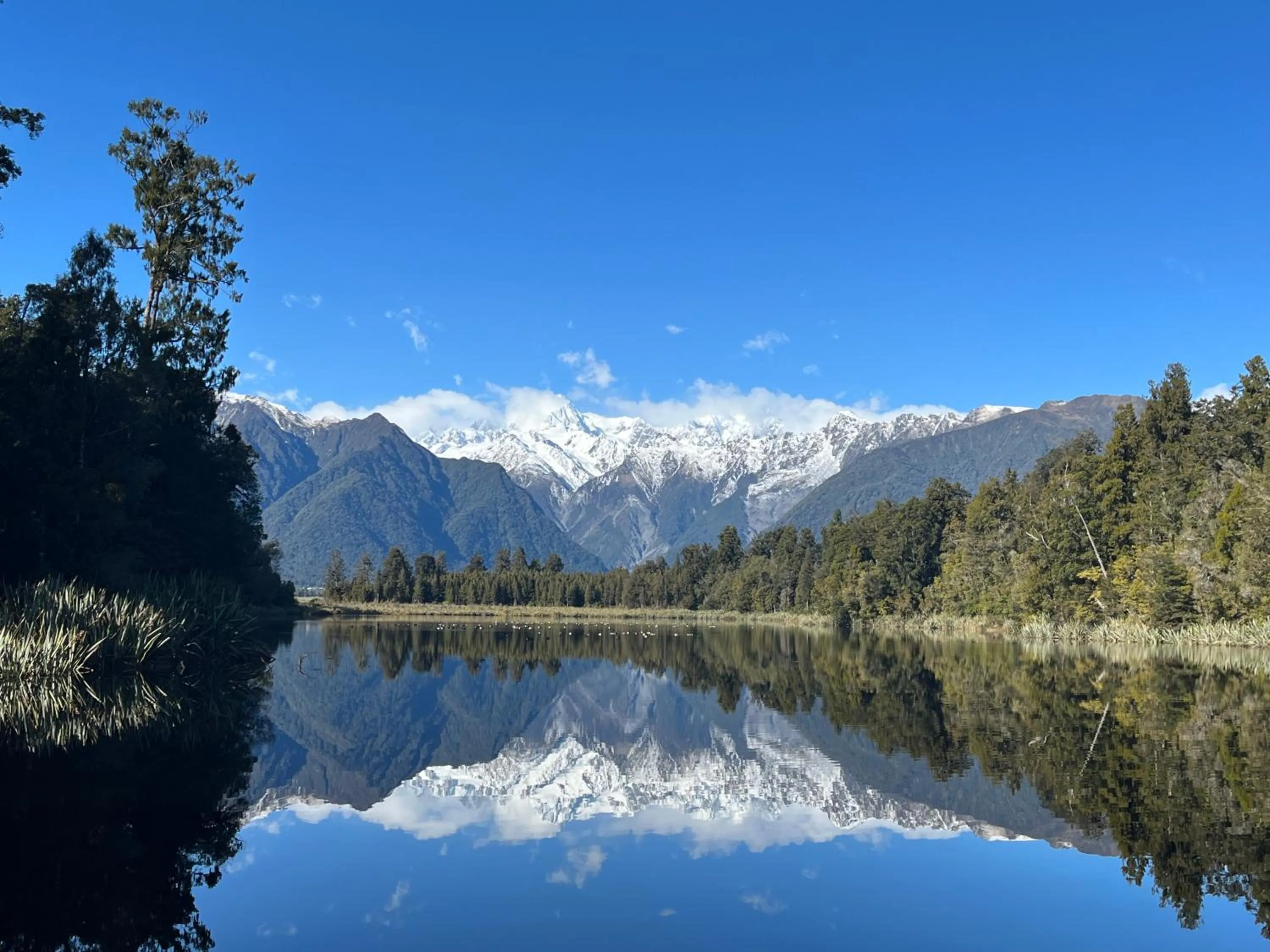 Lake view in Fox Glacier Lodge
