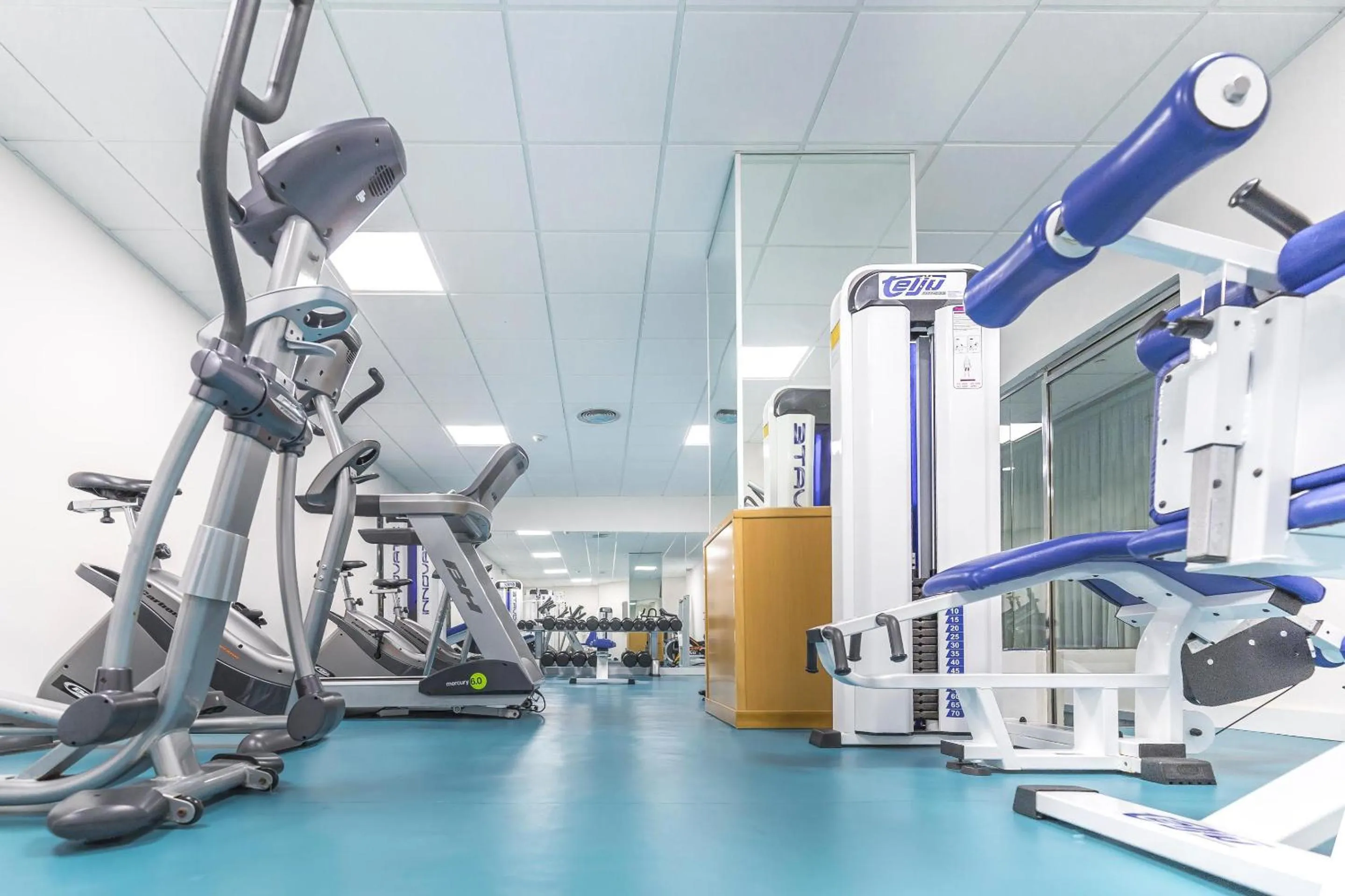 Activities in Hotel Best Benalmadena