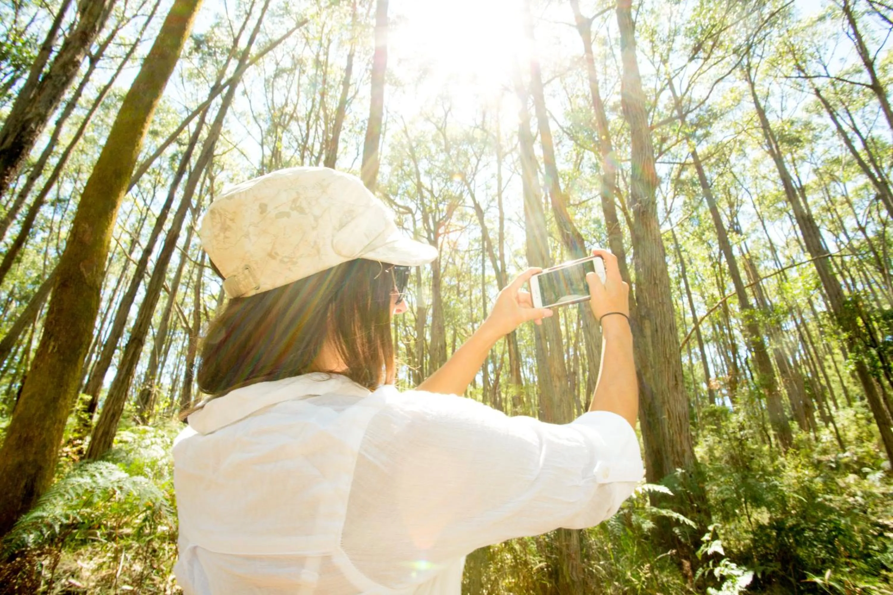 Hiking in BIG4 Yarra Valley Park Lane Holiday Park