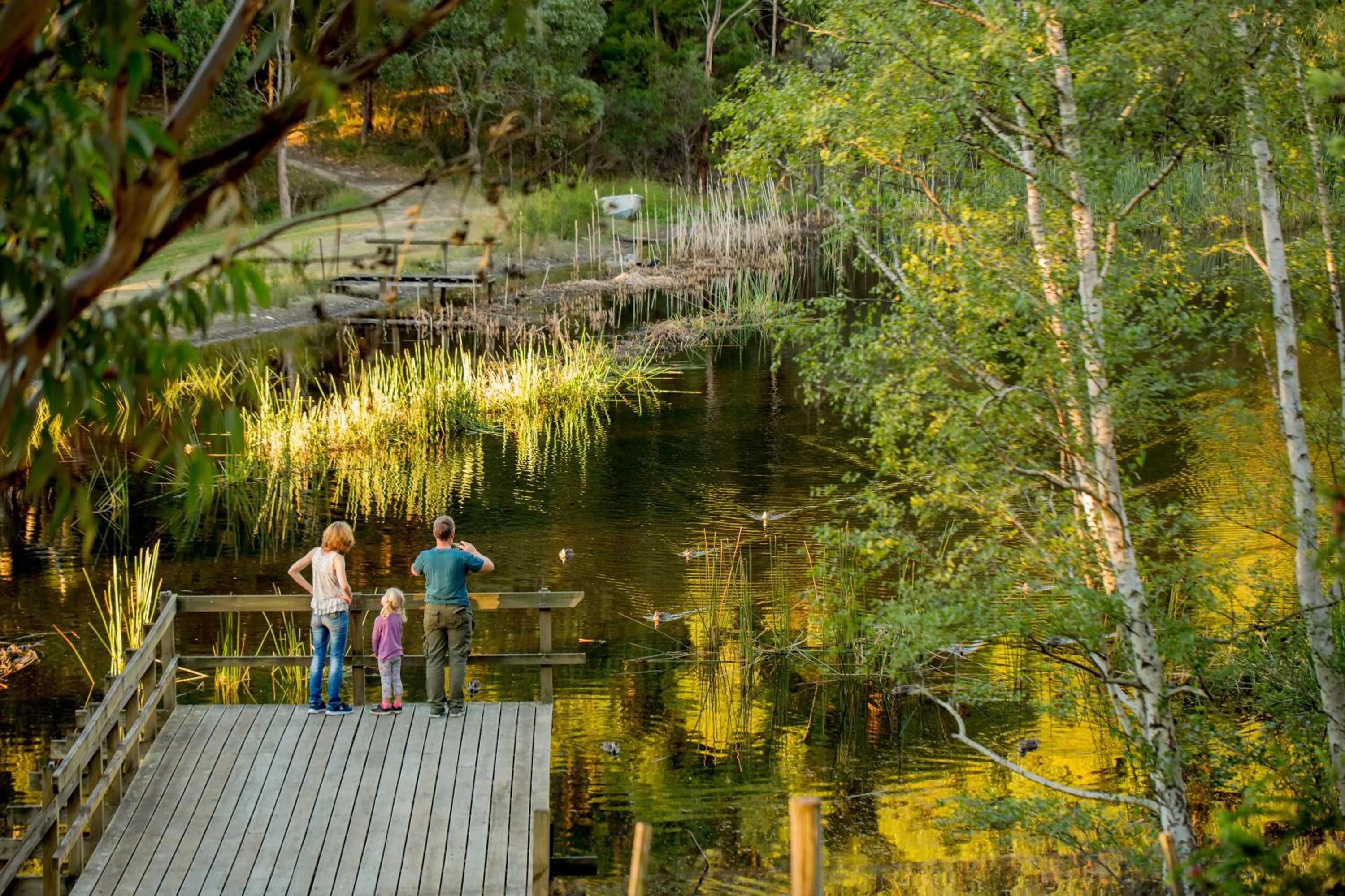 Fishing in BIG4 Yarra Valley Park Lane Holiday Park