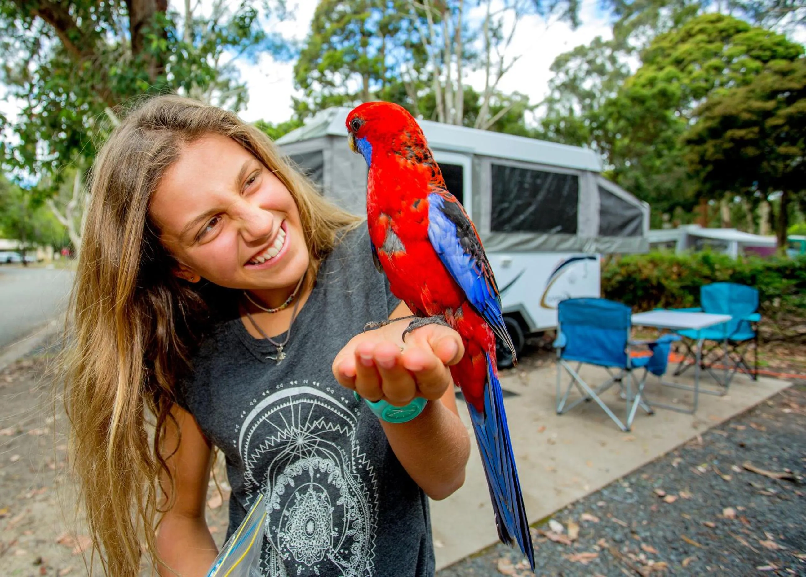 Animals in BIG4 Yarra Valley Park Lane Holiday Park