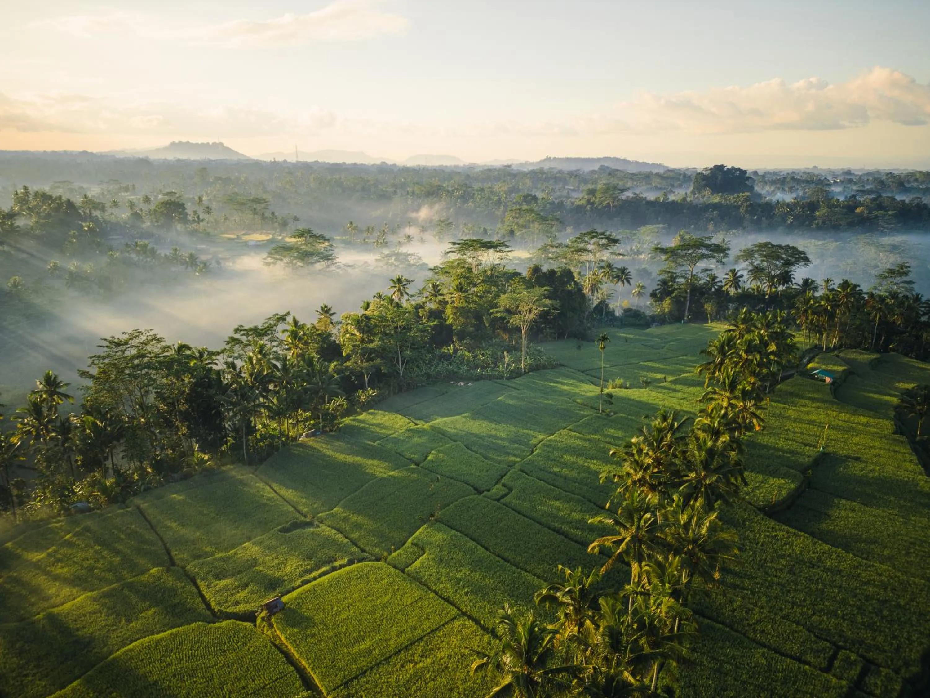 Ubud Mas Glamping Luxury Tent