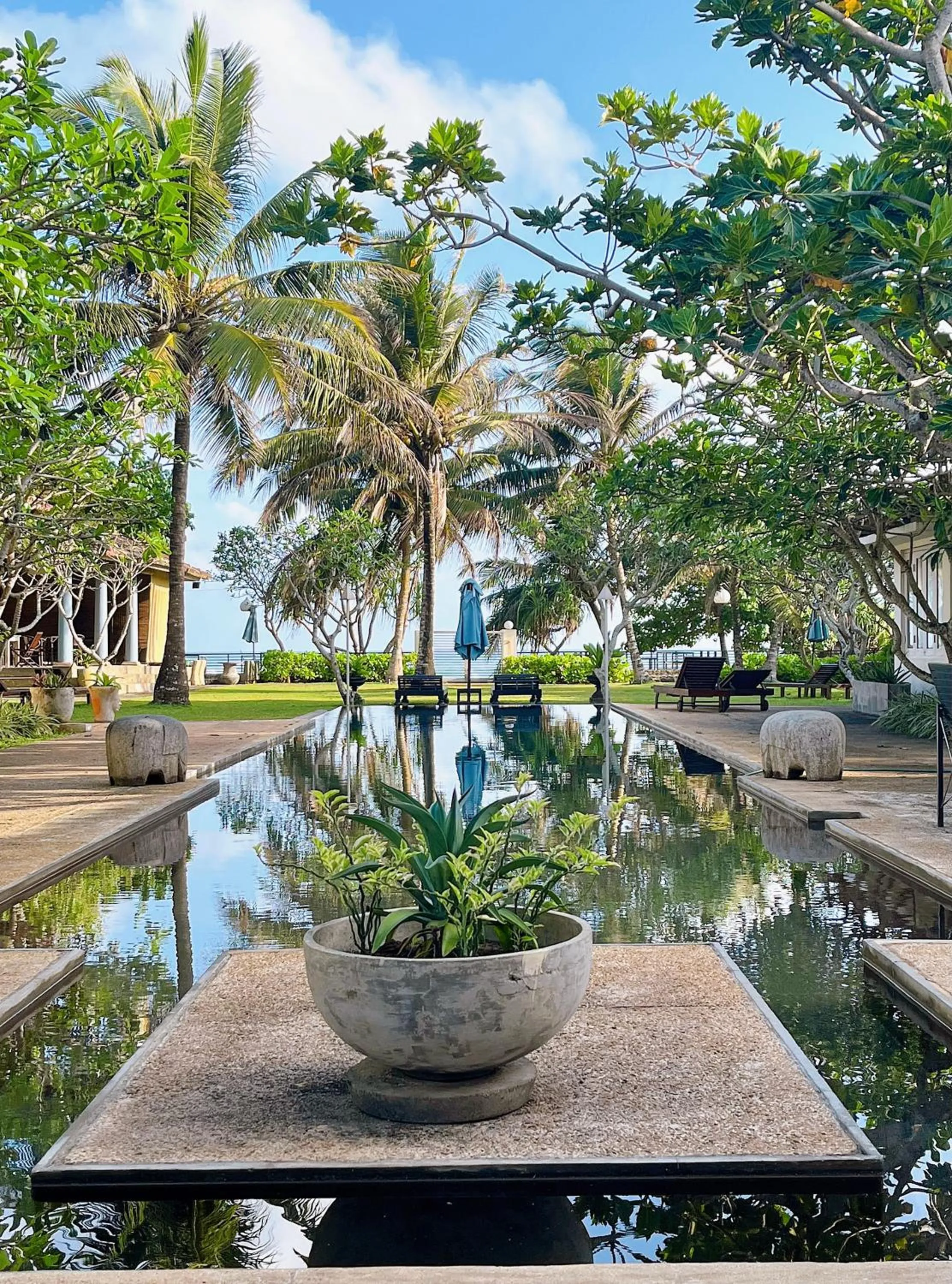 Garden view in Elysium