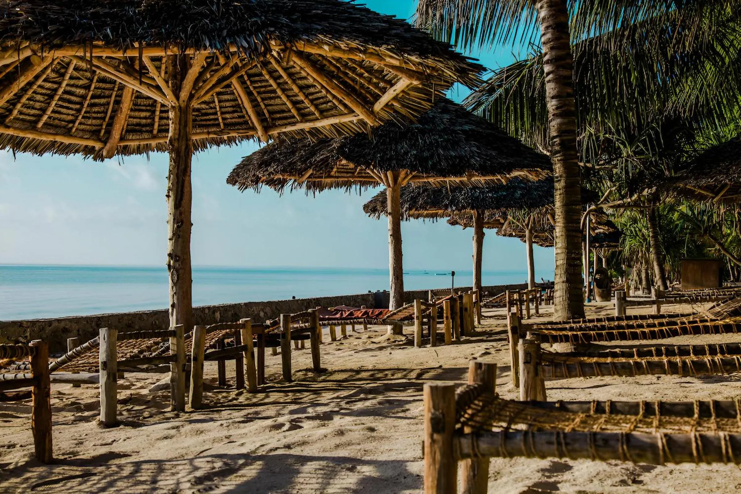 sunbed in JAZ Adonia