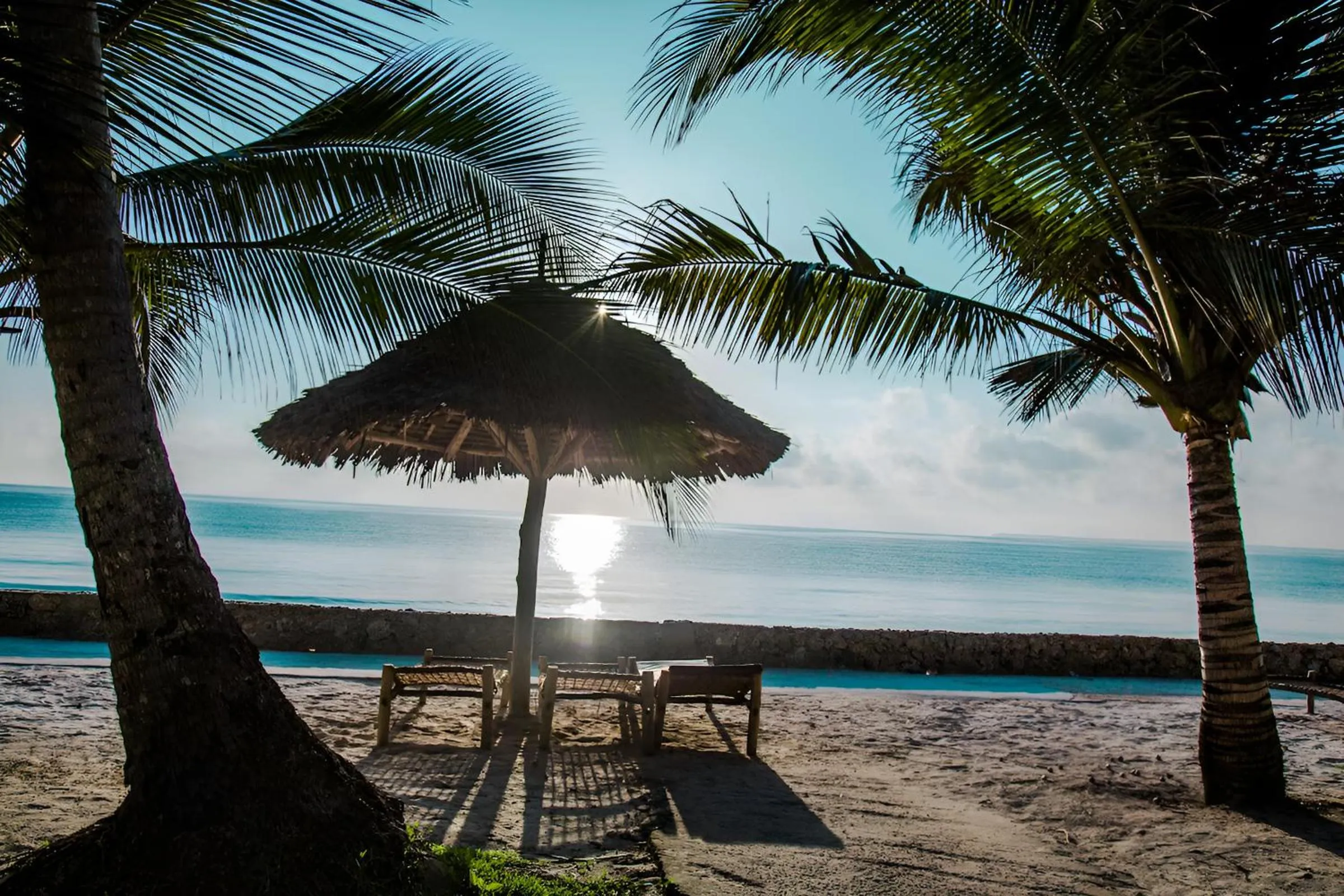 sunbed in JAZ Adonia