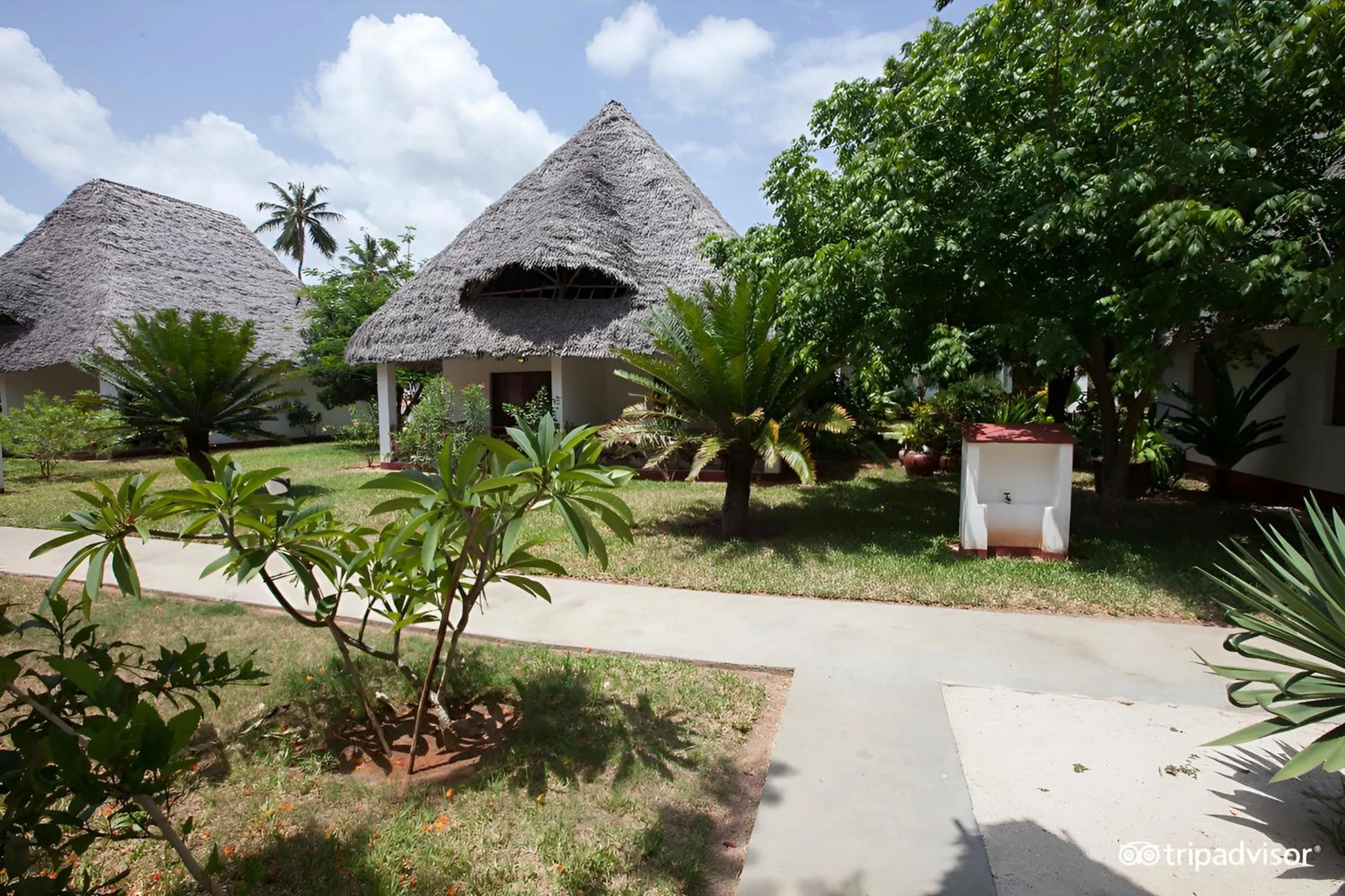 Property building in JAZ Adonia