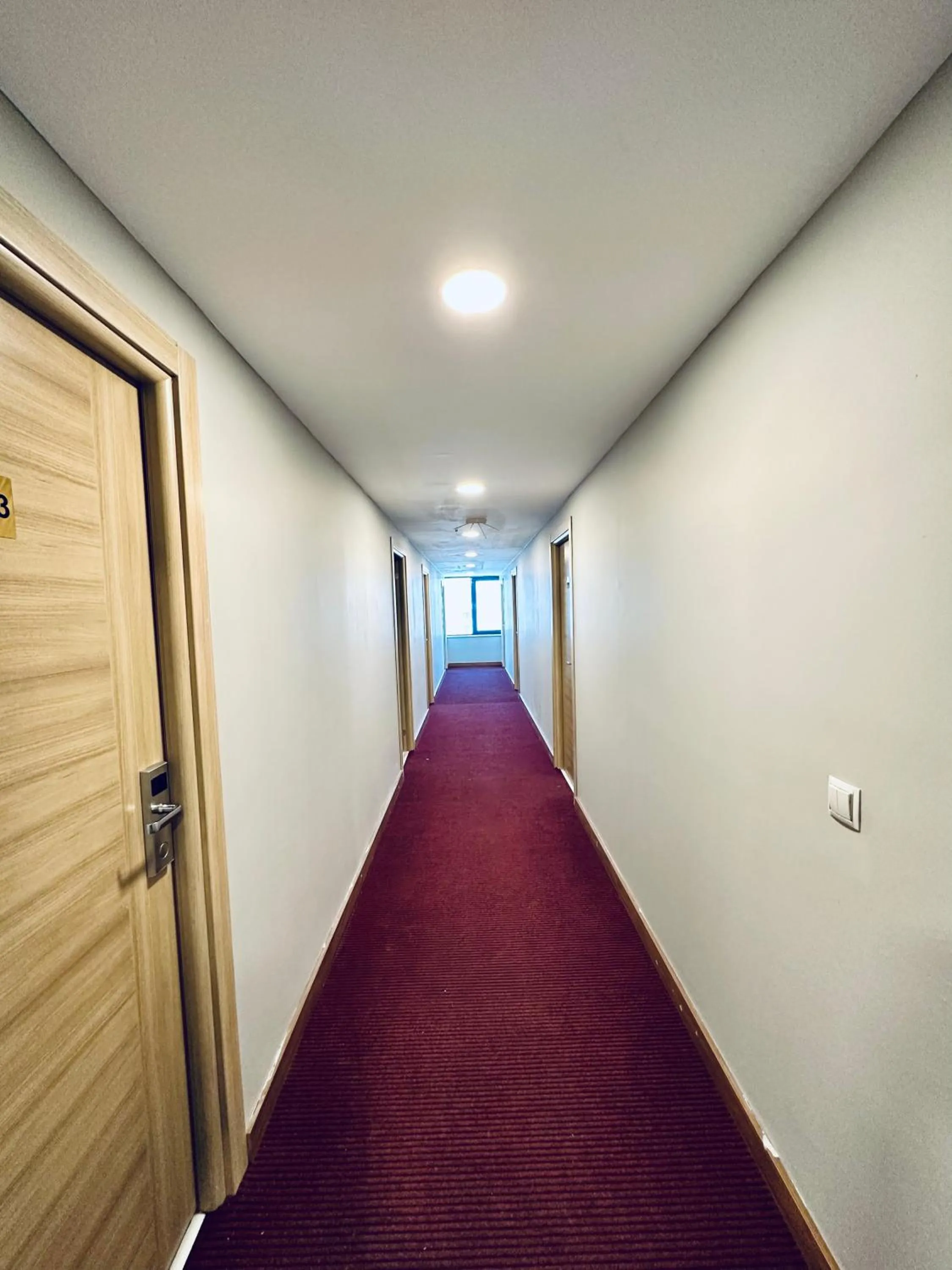 Horse-riding in The Hera Gold Hotel