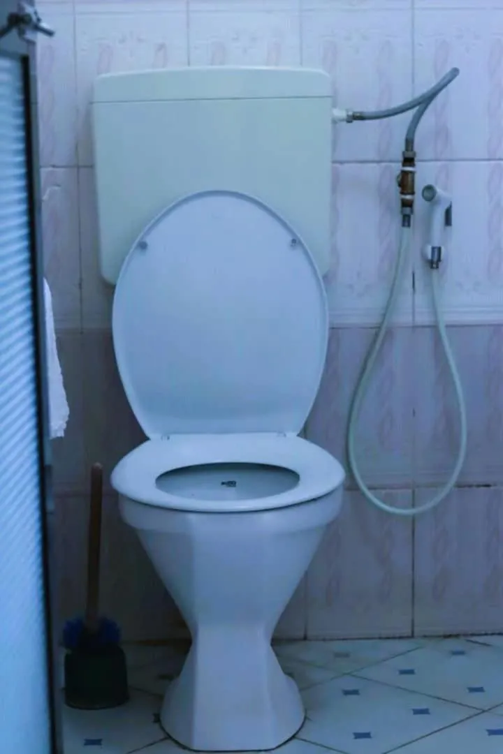 Toilet in Bamboo Savannah