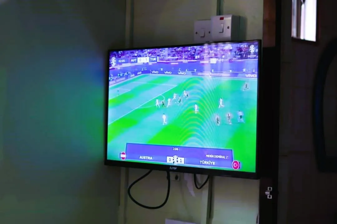 TV and multimedia in Bamboo Savannah