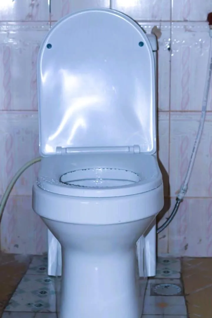 Toilet in Bamboo Savannah