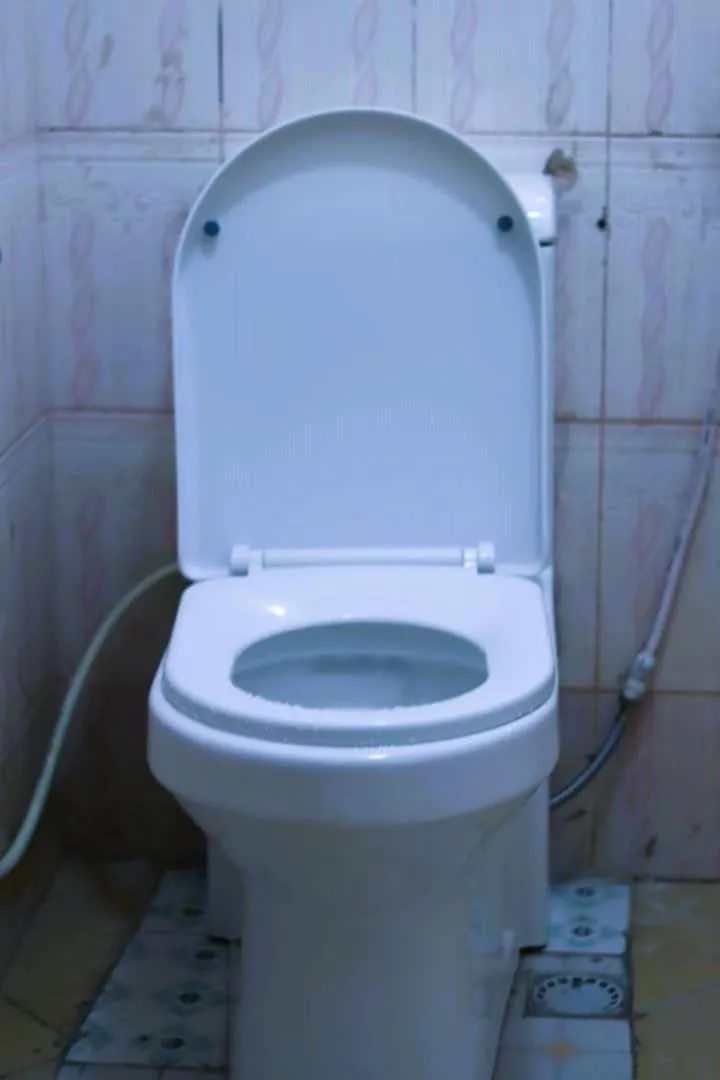 Toilet in Bamboo Savannah