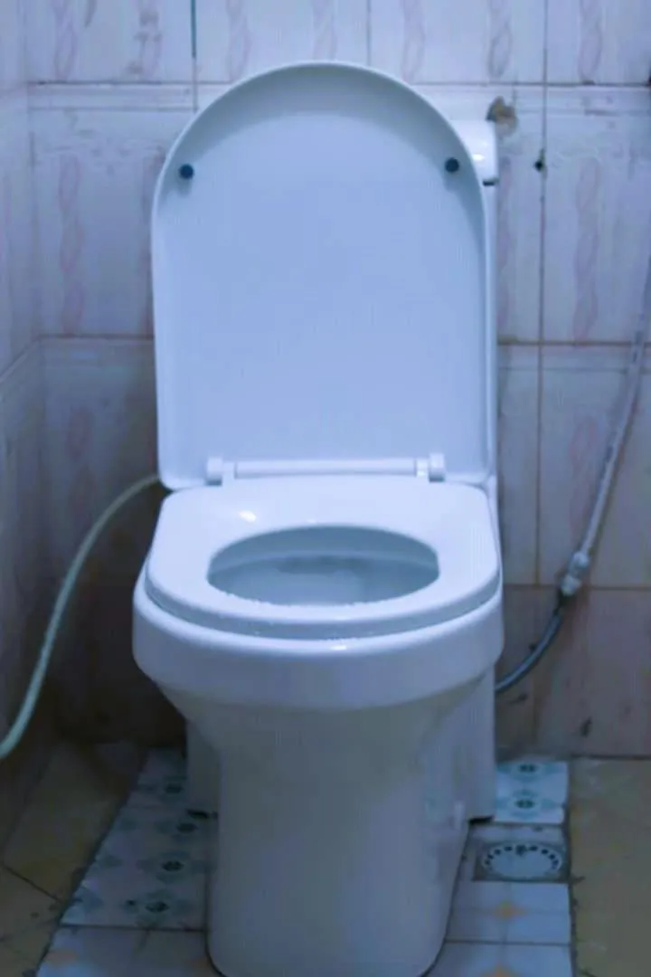 Toilet in Bamboo Savannah