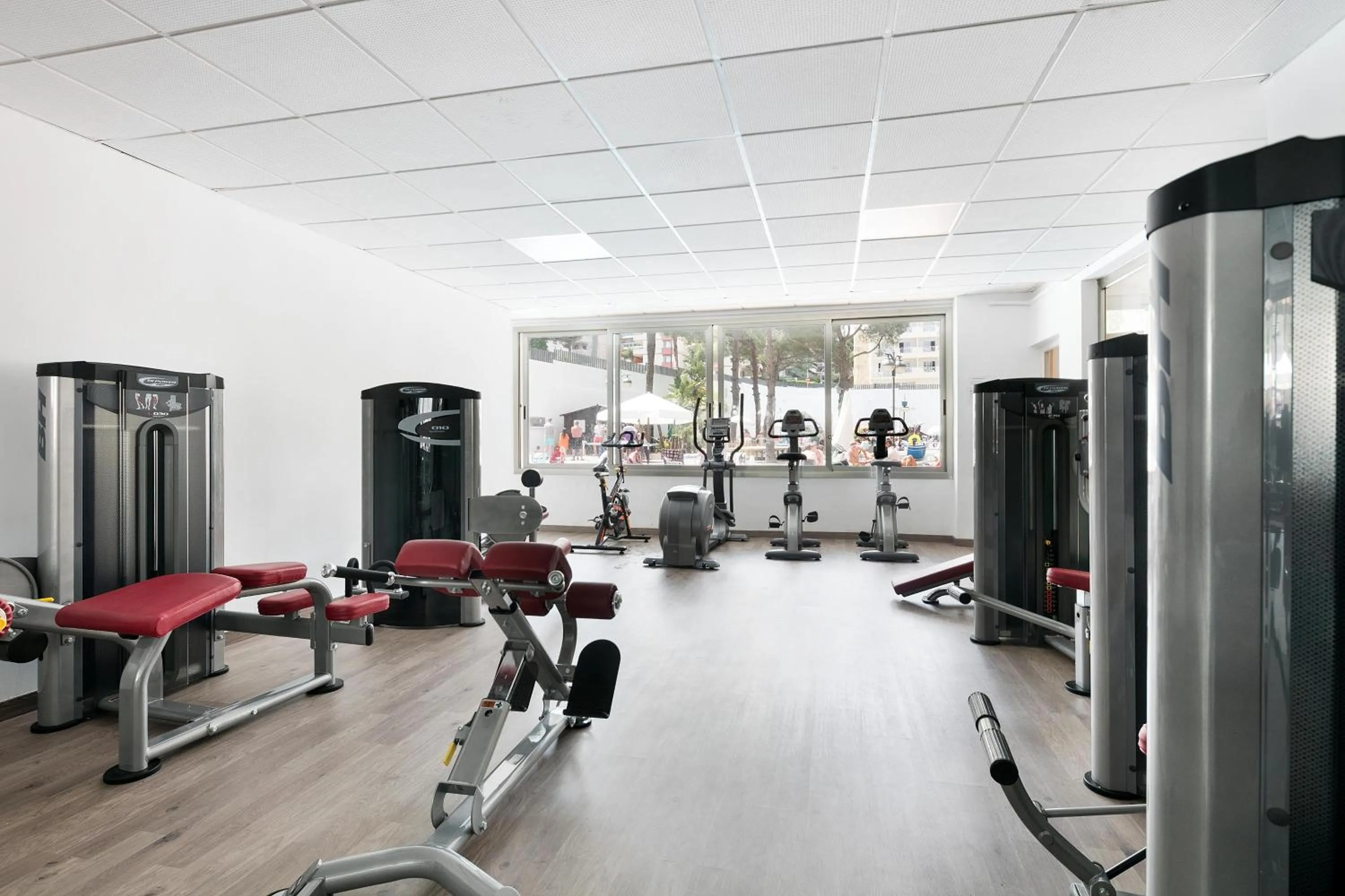 Activities in Hotel Best Oasis Park