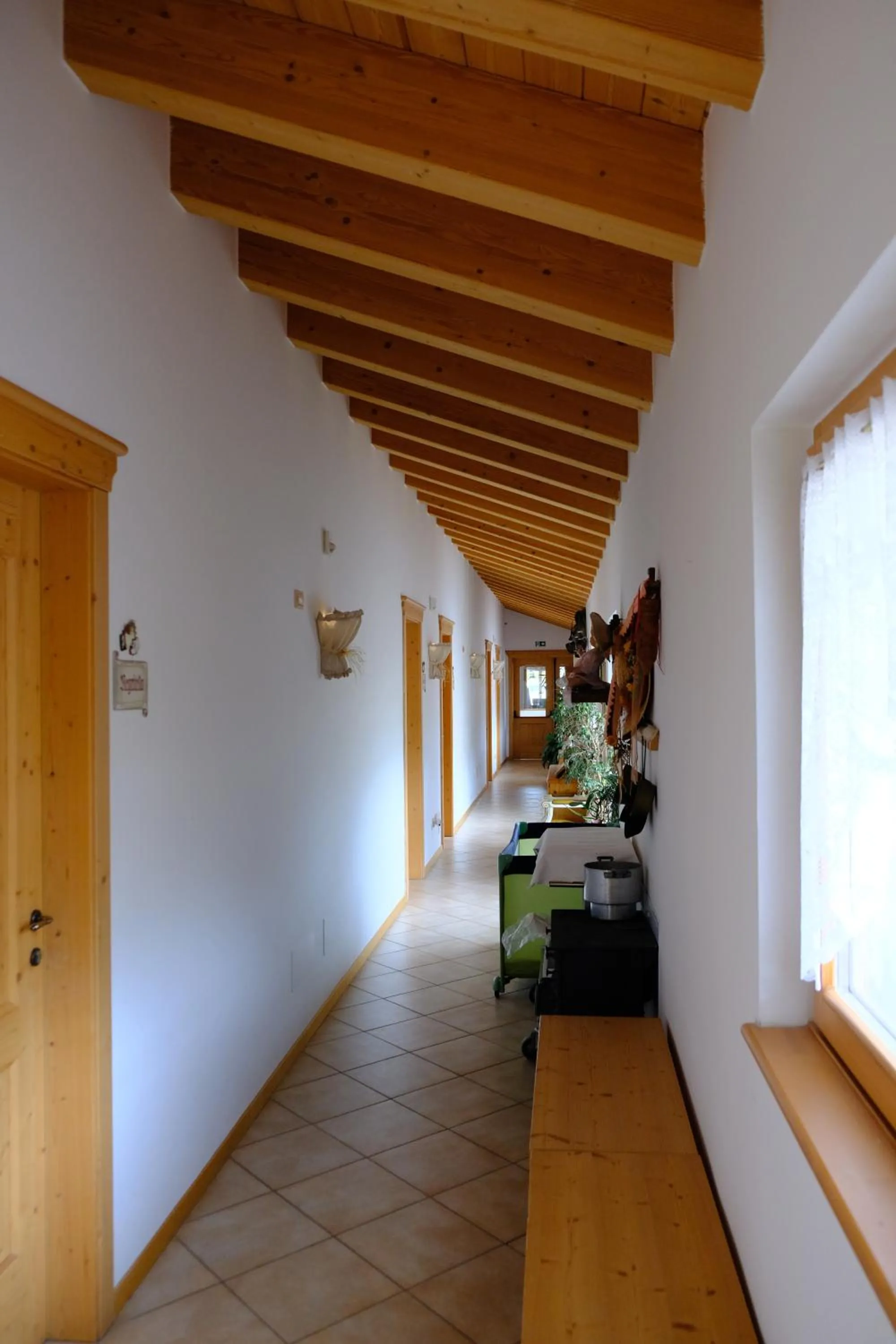 B&B Longanorbait