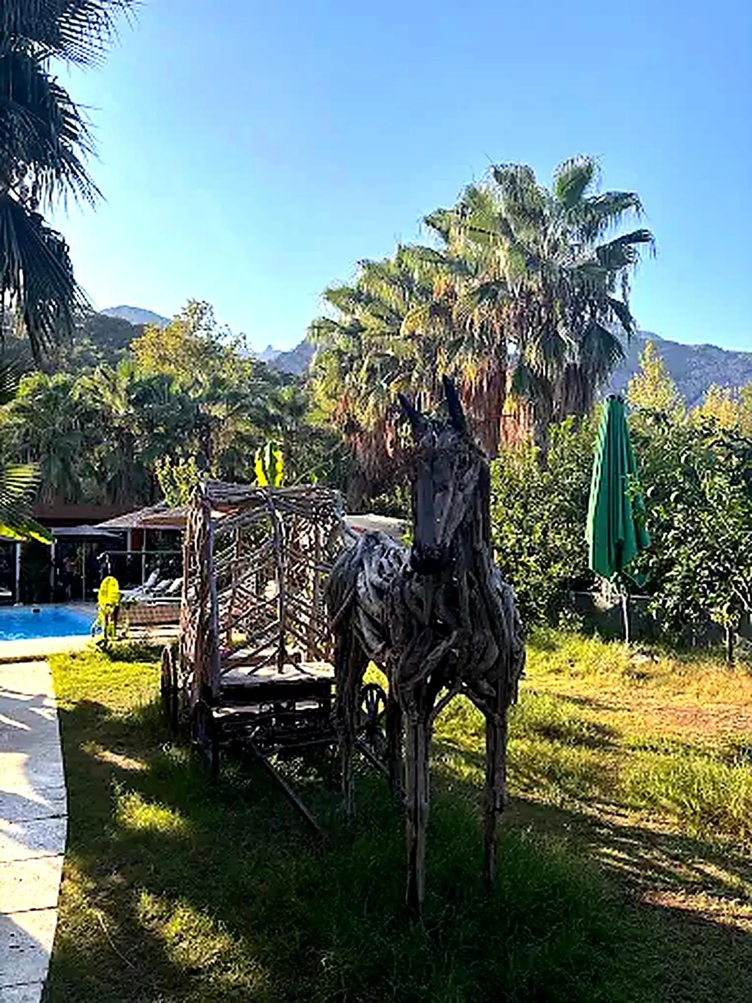 Garden in Terra Garden Hotel