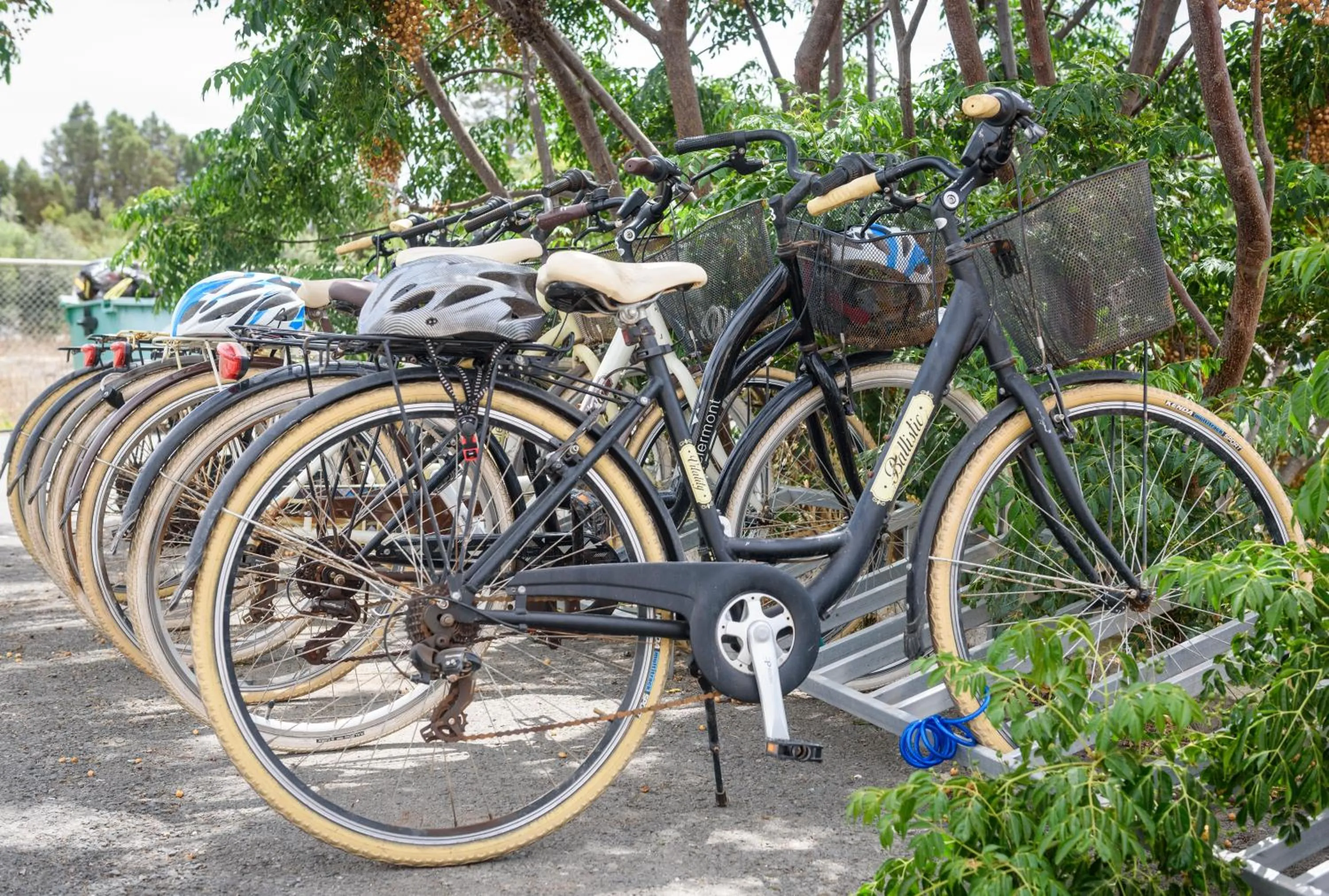 Entertainment in Bellini Hotel